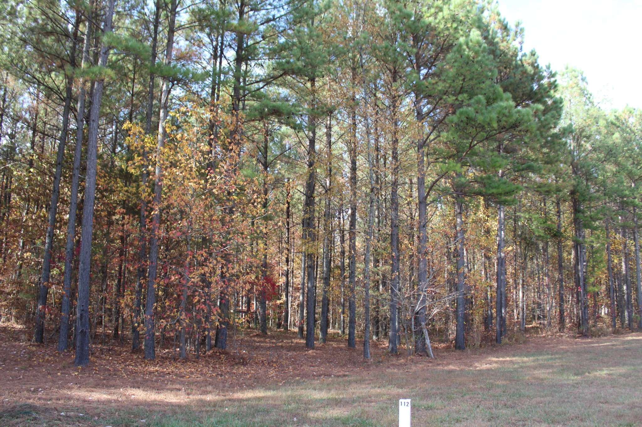 465 Compass Drive, Jasper, TN 37347