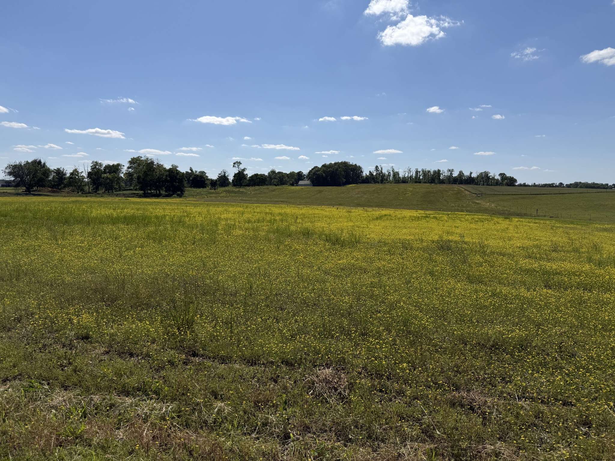 0 Pinson Rd, Springfield, TN 37172