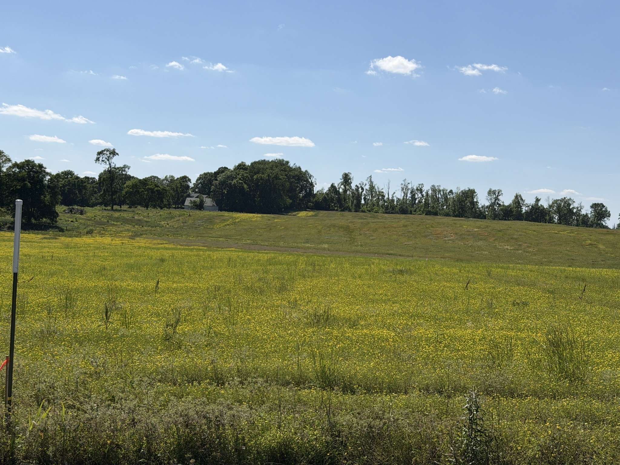 0 Pinson Rd, Springfield, TN 37172
