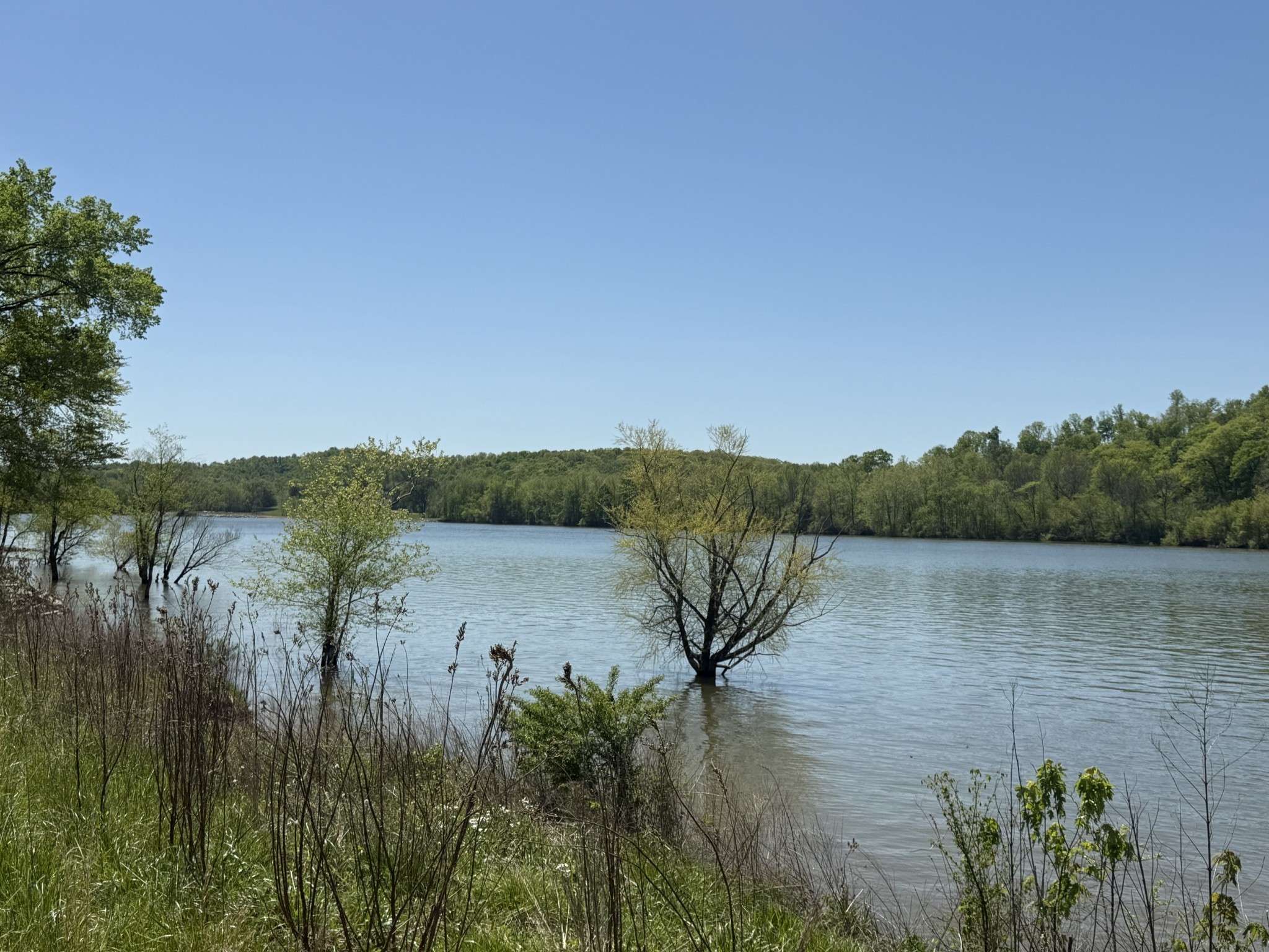 941 Hardin Bottom River Road, Clifton, TN 38425