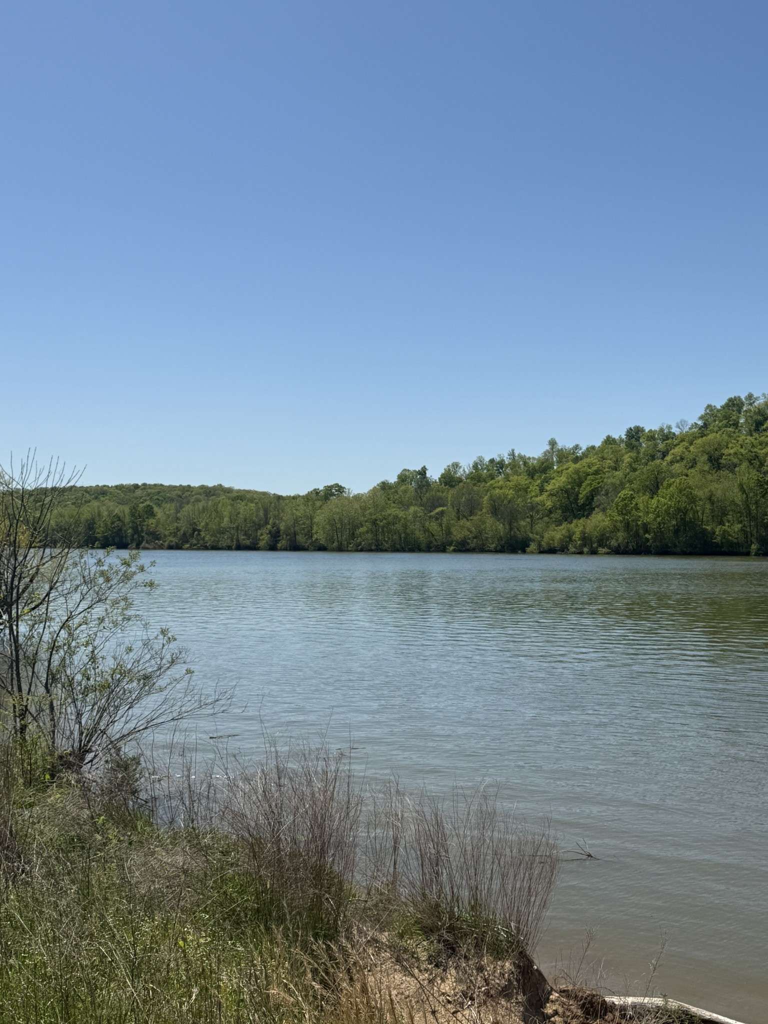 941 Hardin Bottom River Road, Clifton, TN 38425