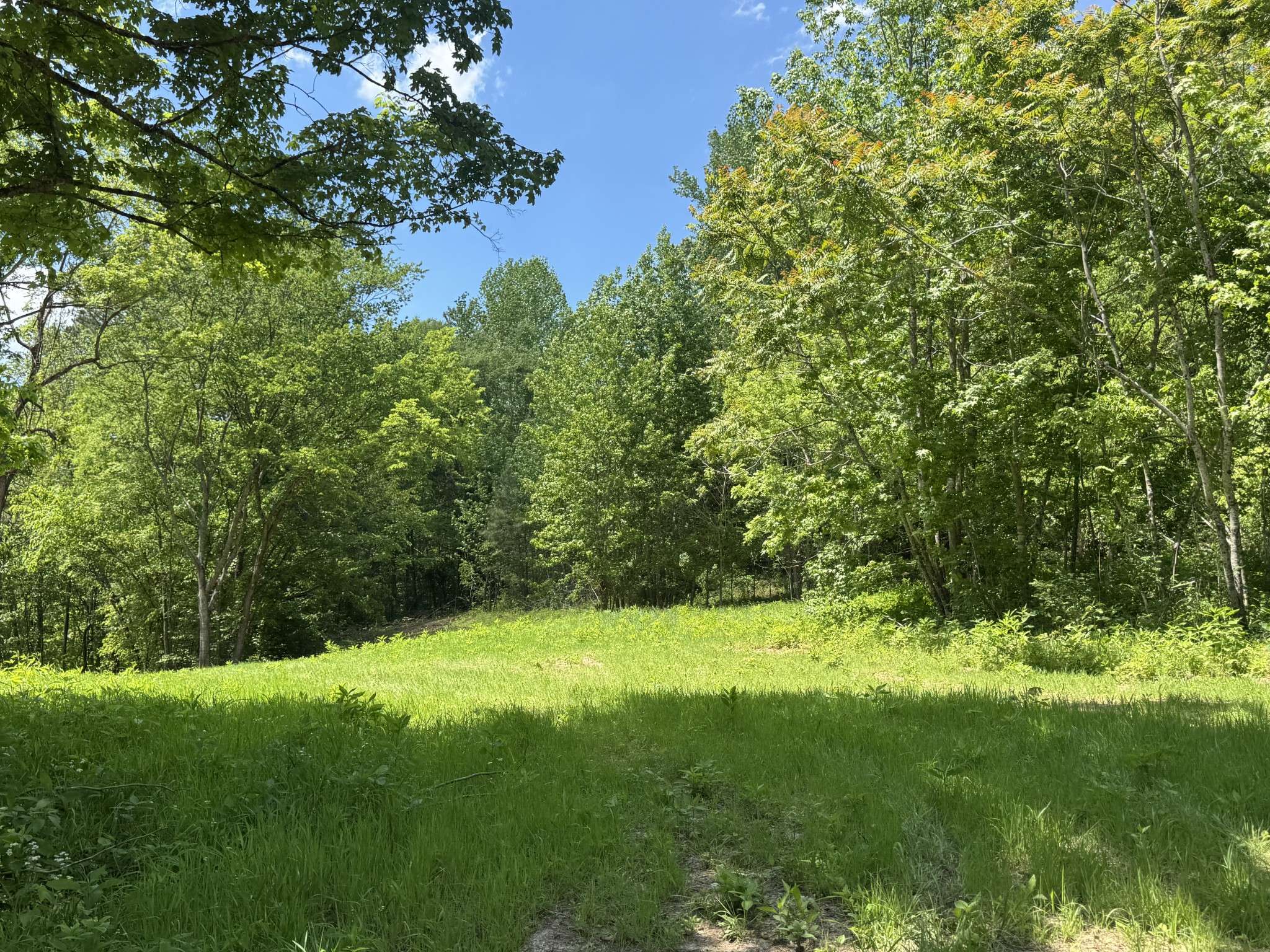 0 Cub Creek Rd, Indian Mound, TN 37079