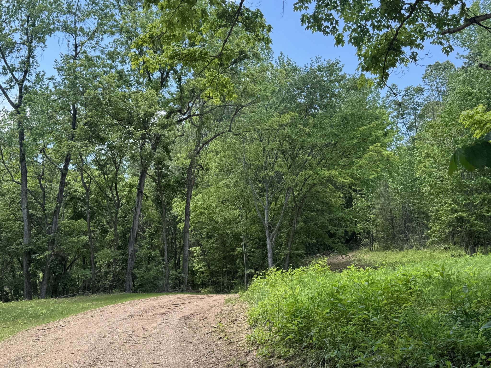 0 Cub Creek Rd, Indian Mound, TN 37079