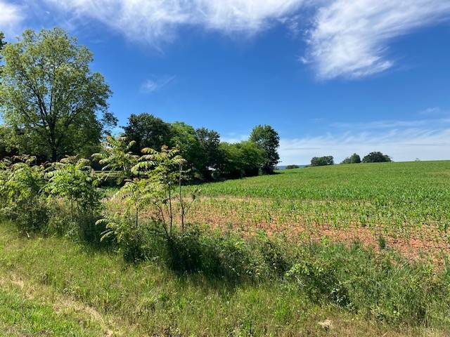 0 Wilder Rd, Hillsboro, TN 37342