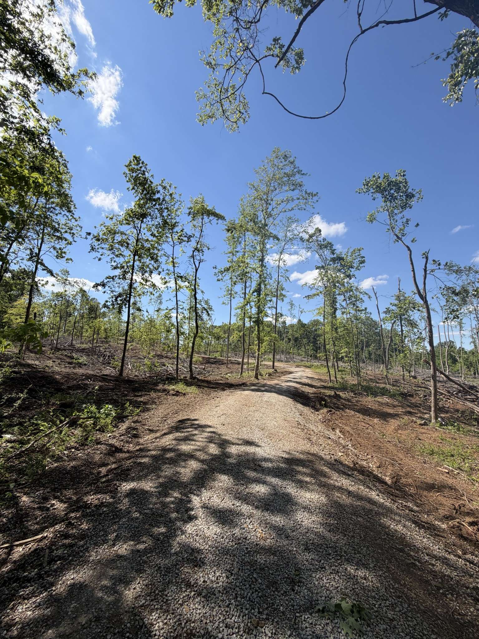 6492 Cross Plains Rd, Springfield, TN 37172