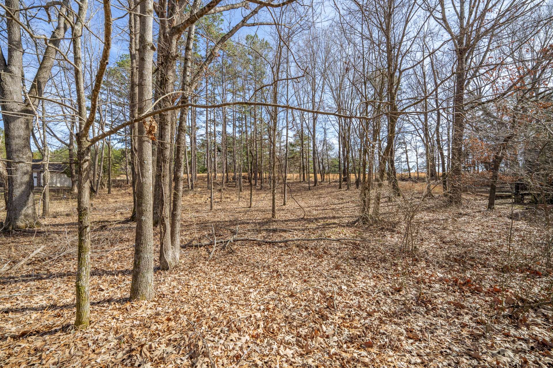 0 Treadwell Prong Rd, Linden, TN 37096