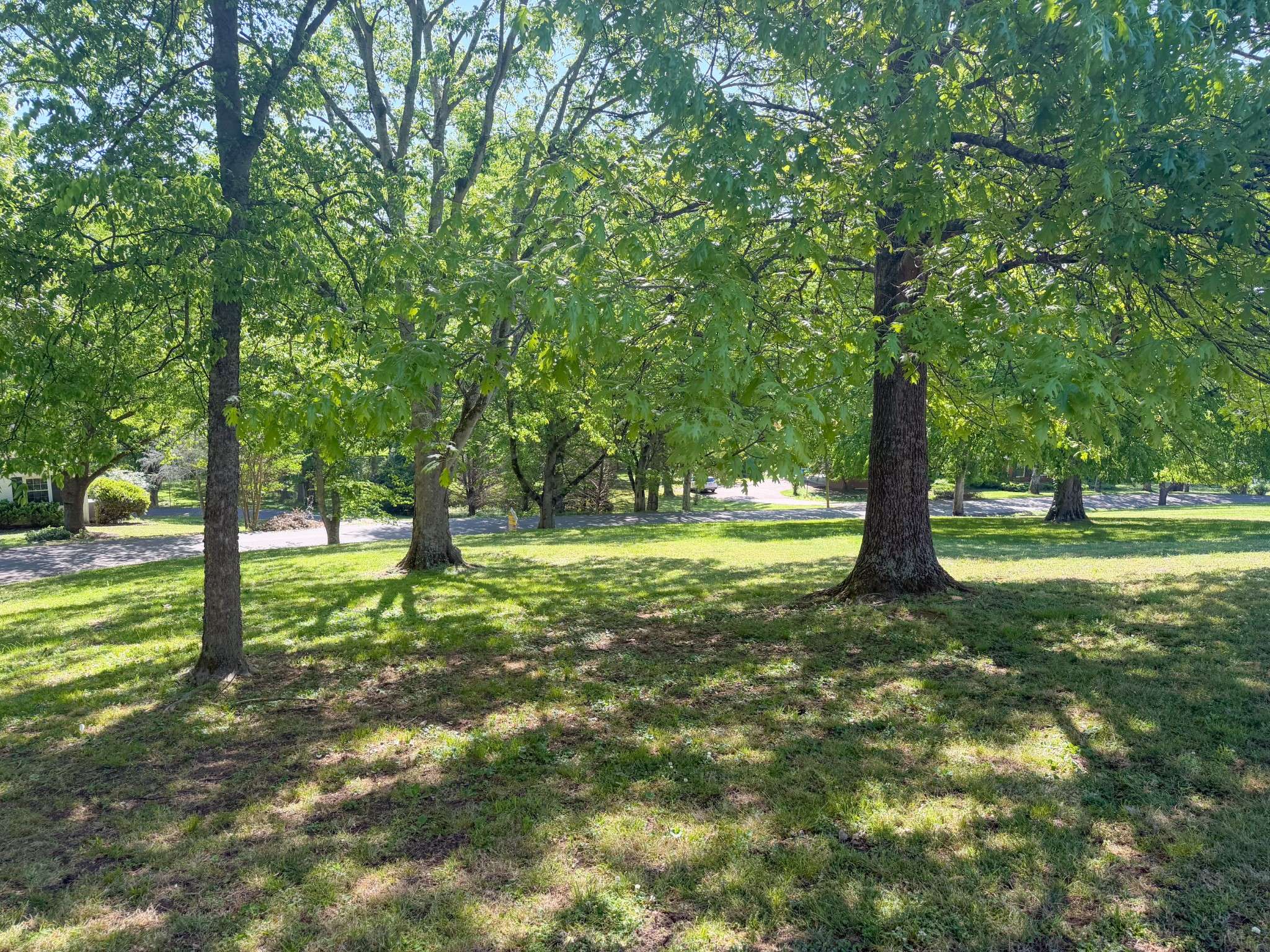133 Sunset Dr, Pulaski, TN 38478