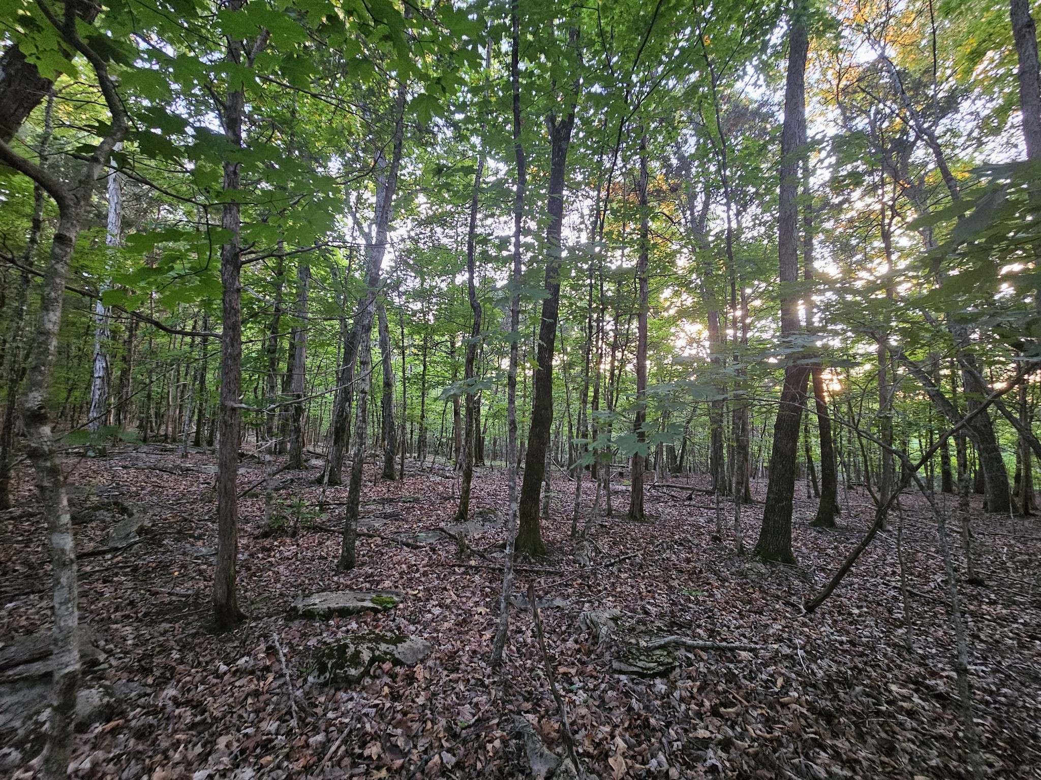 3 Sewanee Summit Road, Decherd, TN 37324