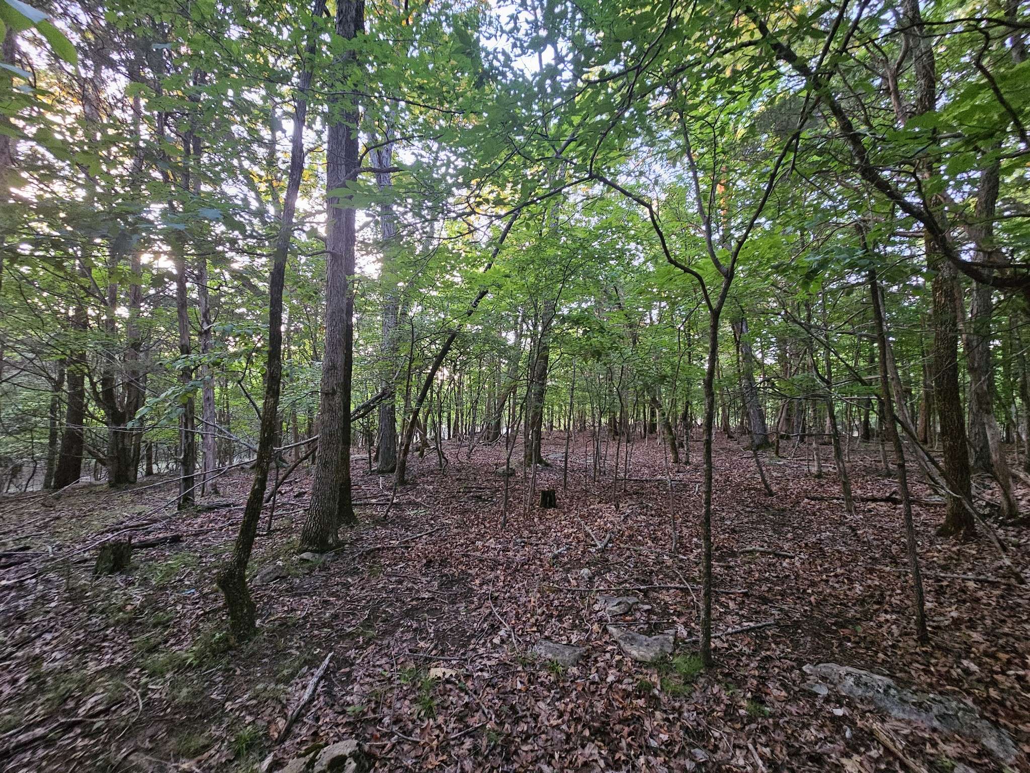 3 Sewanee Summit Road, Decherd, TN 37324