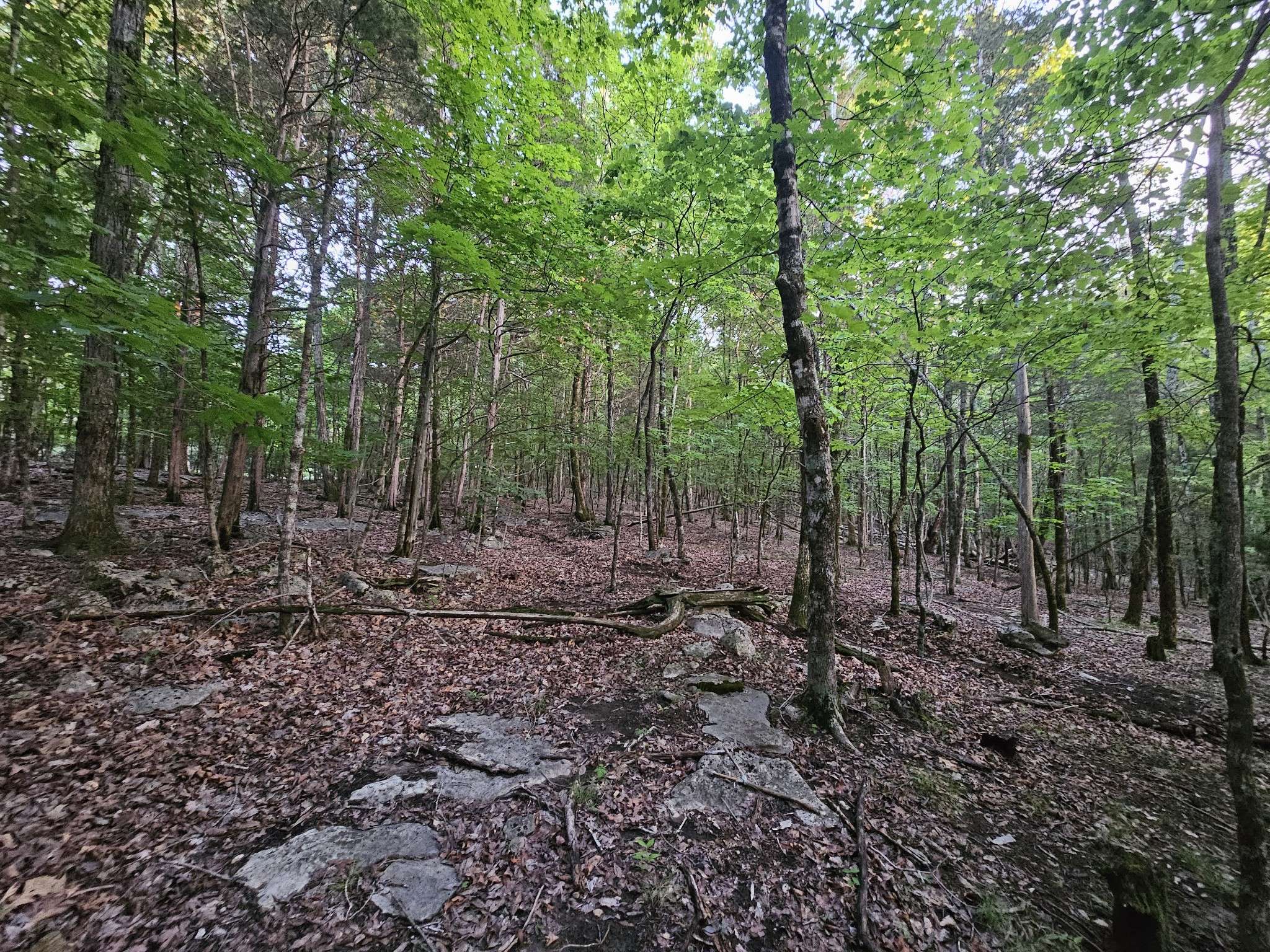 3 Sewanee Summit Road, Decherd, TN 37324