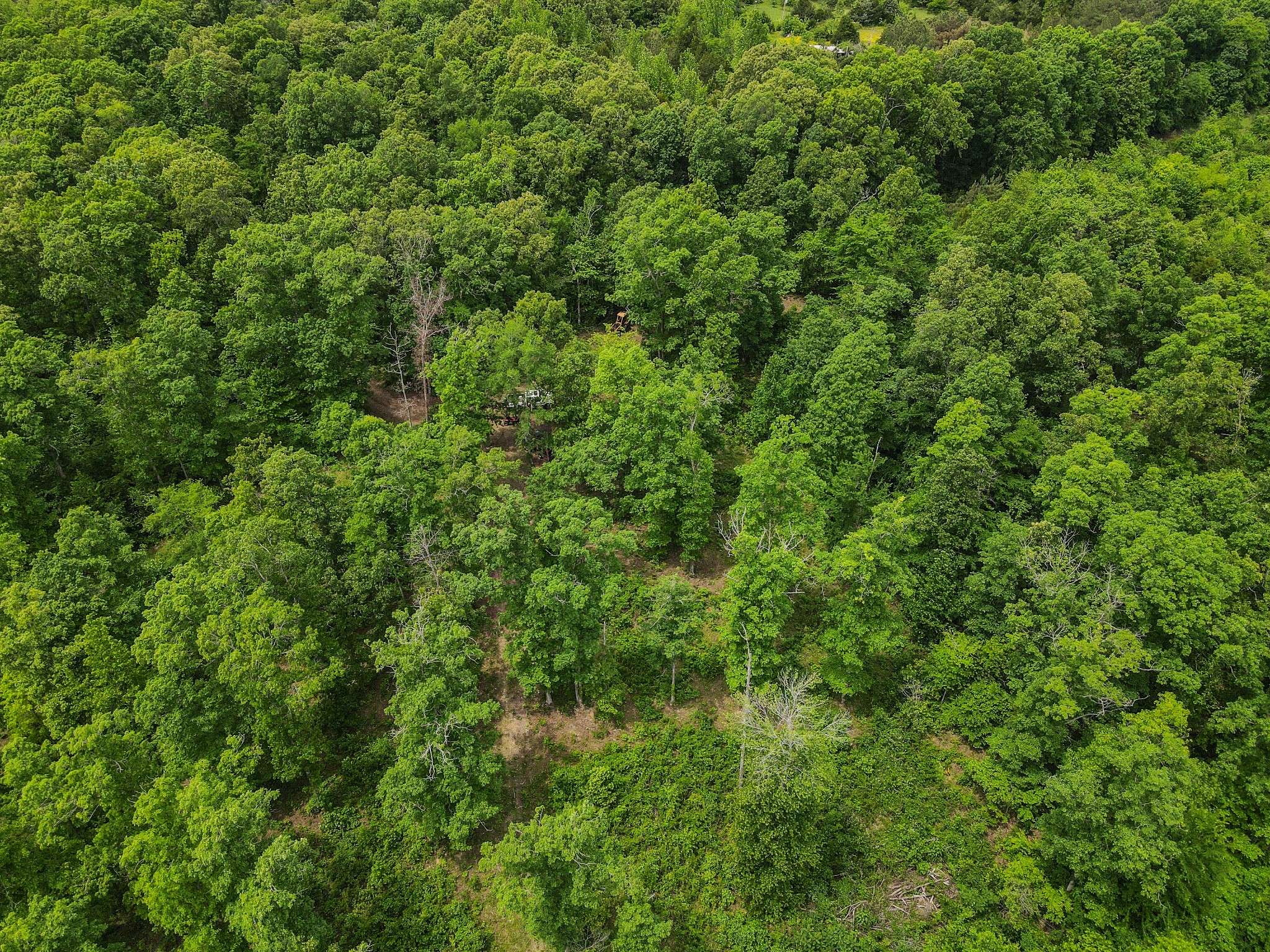1855 Shiloh Church Rd, Camden, TN 38320