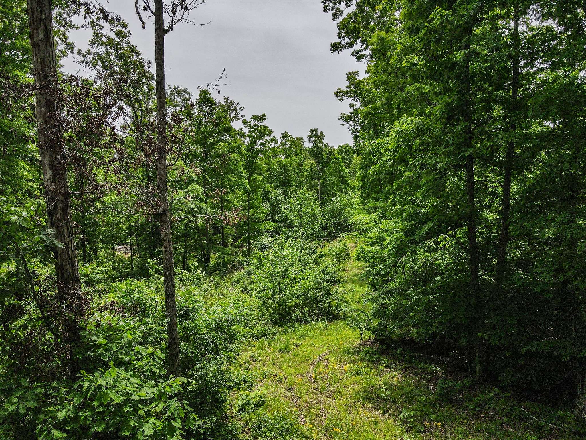 1855 Shiloh Church Rd, Camden, TN 38320