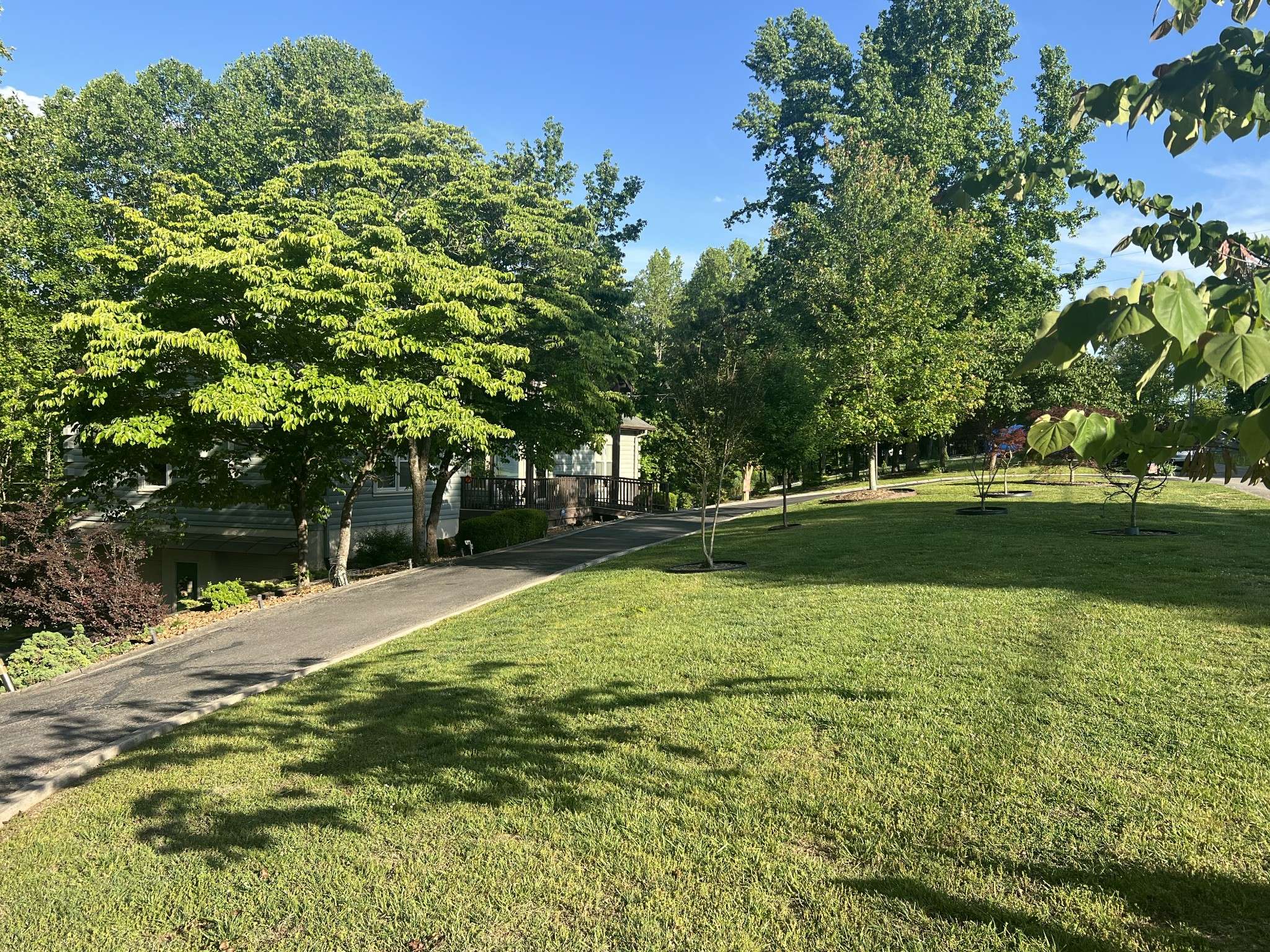 187 Rigsbys Rdg, Lynchburg, TN 37352