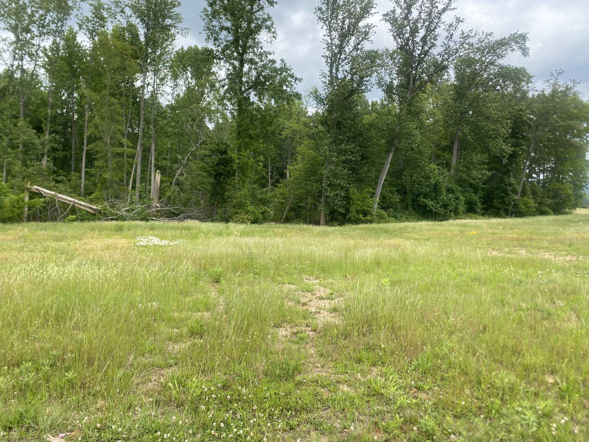 0 Wheeler Road, Mc Minnville, TN 37110