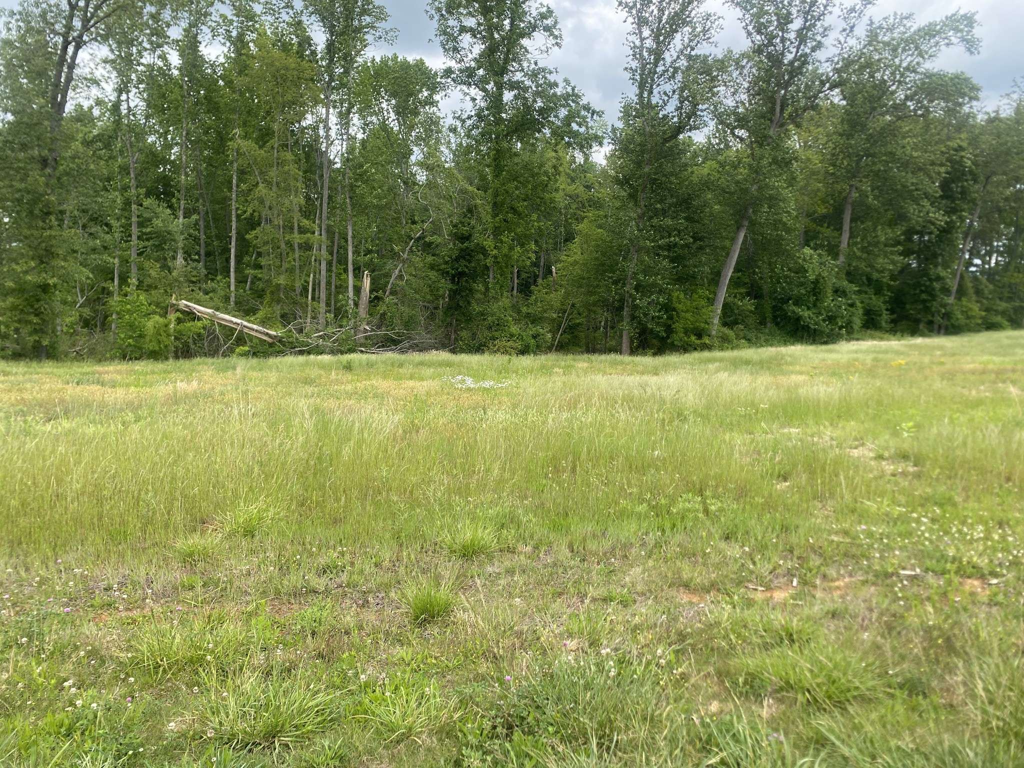 0 Wheeler Road, Mc Minnville, TN 37110