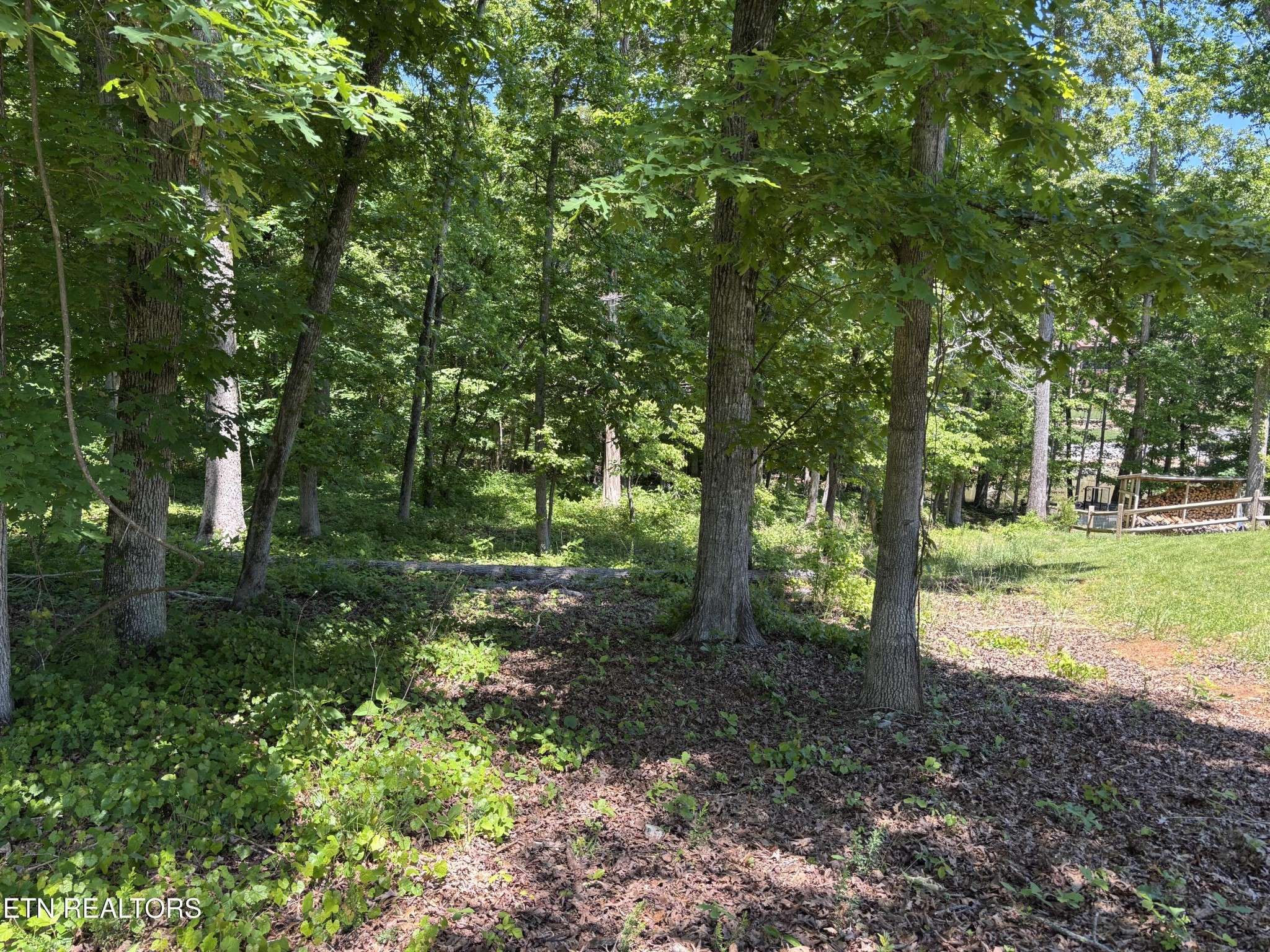 0 E Shore Drive, Rockwood, TN 37854