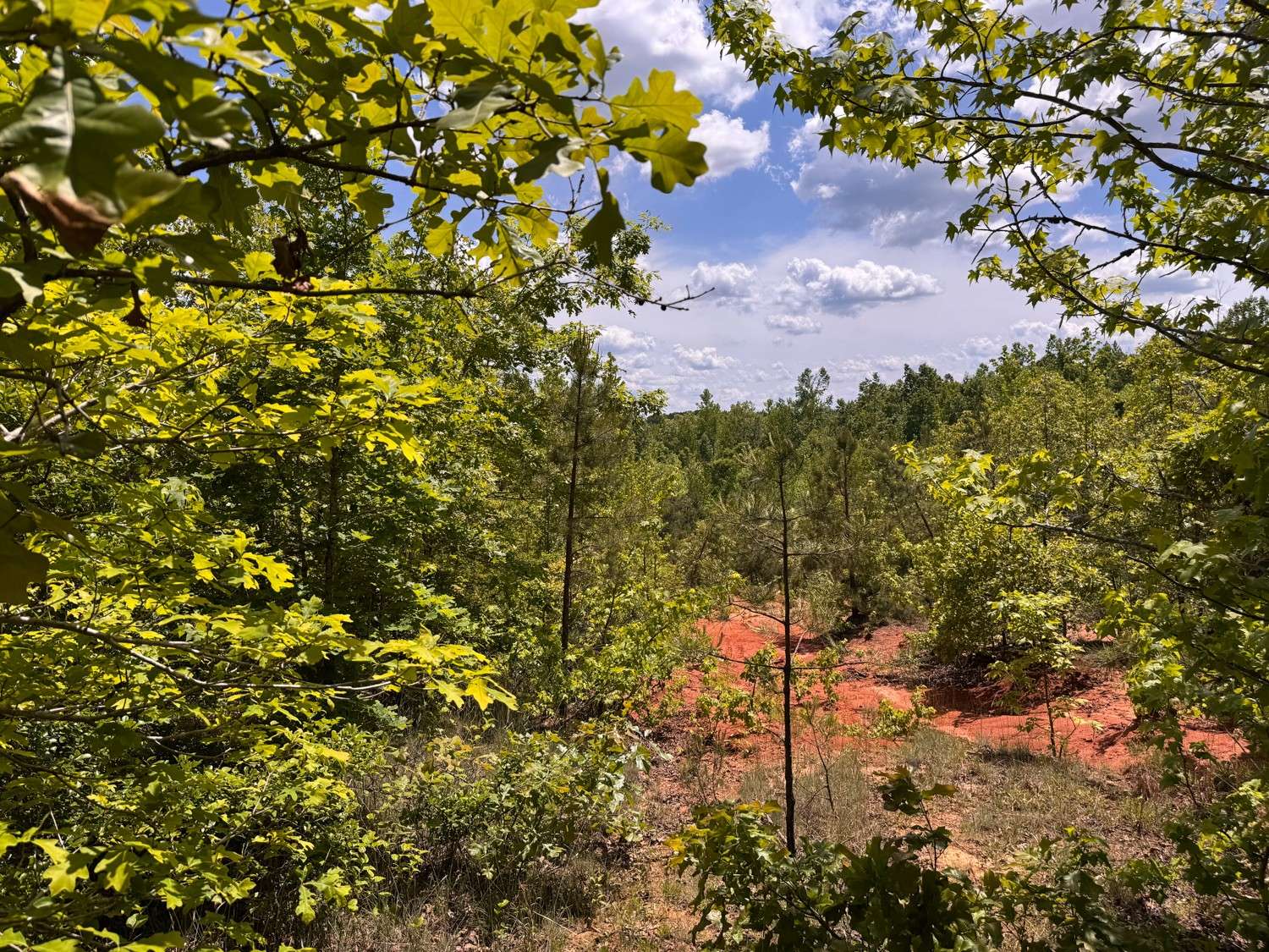 0 Dude Road, Savannah, TN 38372