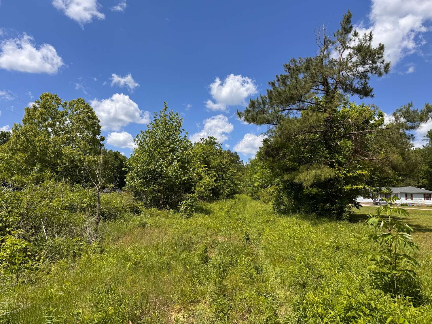 0 Dude Road, Savannah, TN 38372