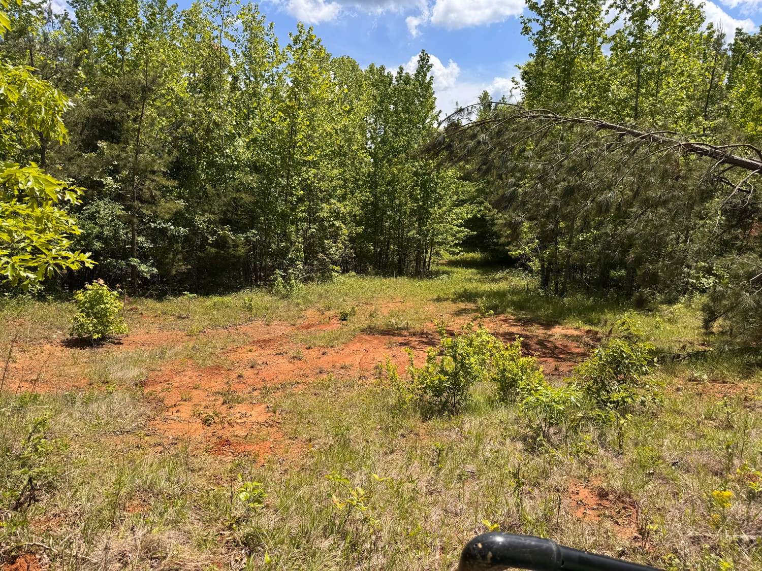 0 Dude Road, Savannah, TN 38372