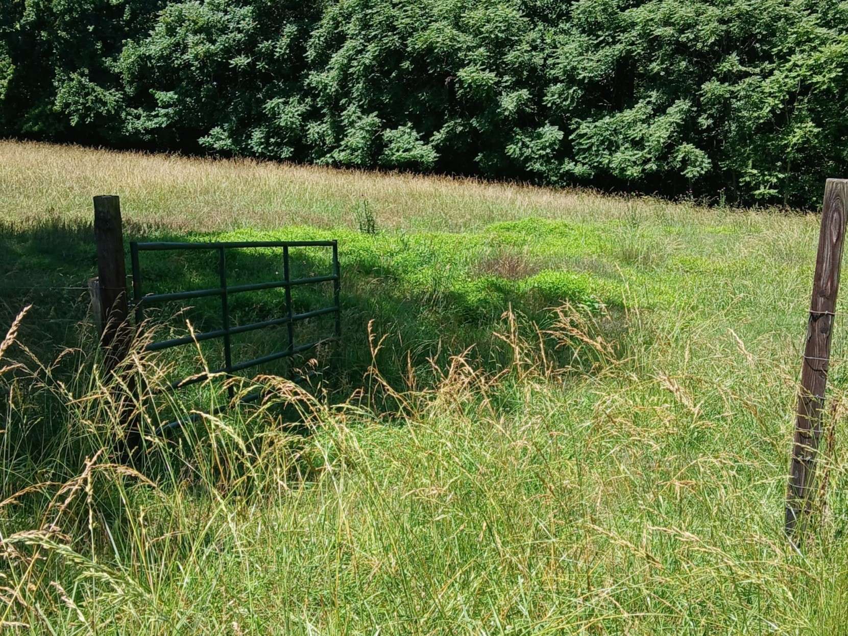 0 Lockertsville Road, Ashland City, TN 37015