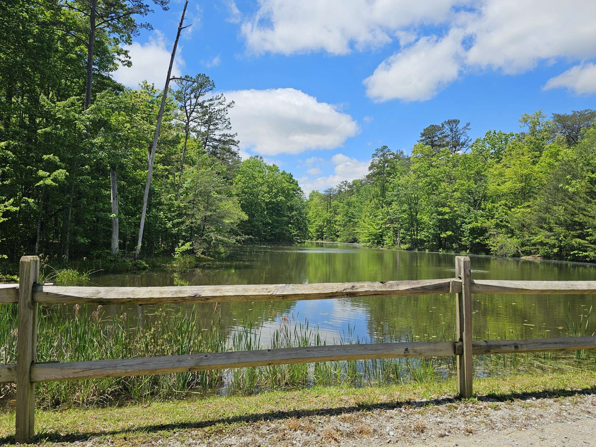 6 Beechwood Trail, Coalmont, TN 37313