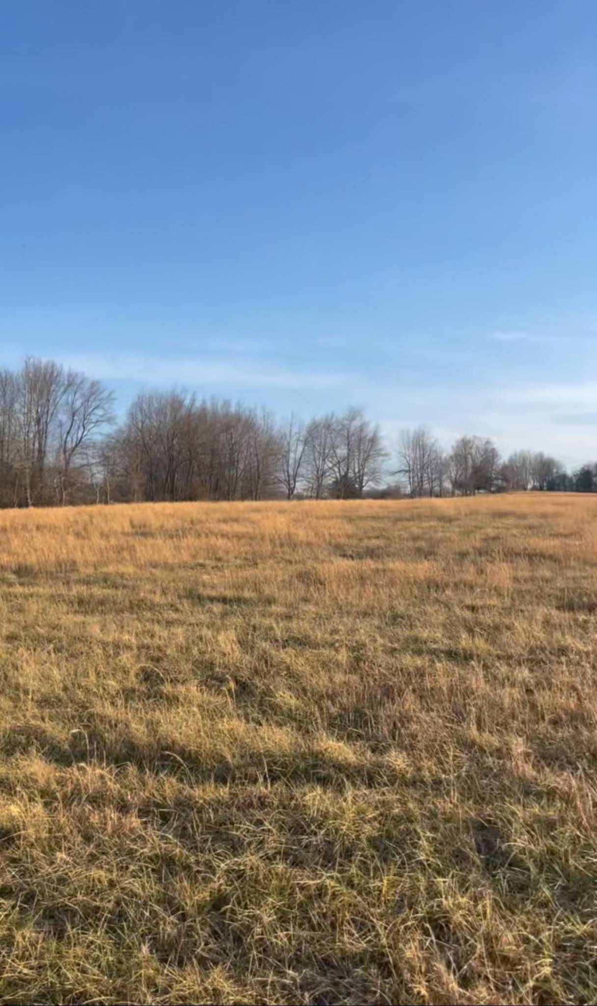 0 Thompson Ln, Portland, TN 37148