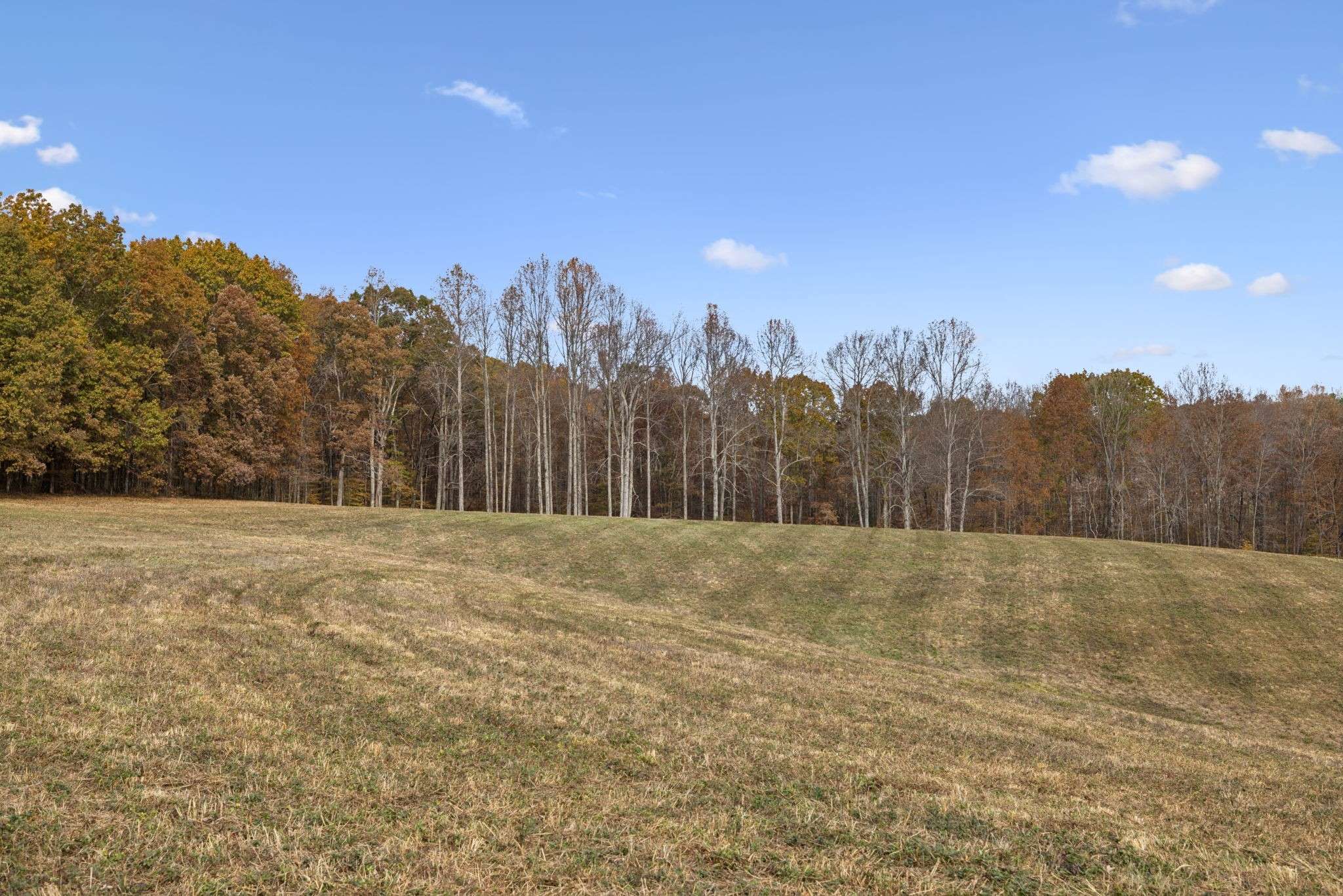 5515 Old Hwy 96, Franklin, TN 37064