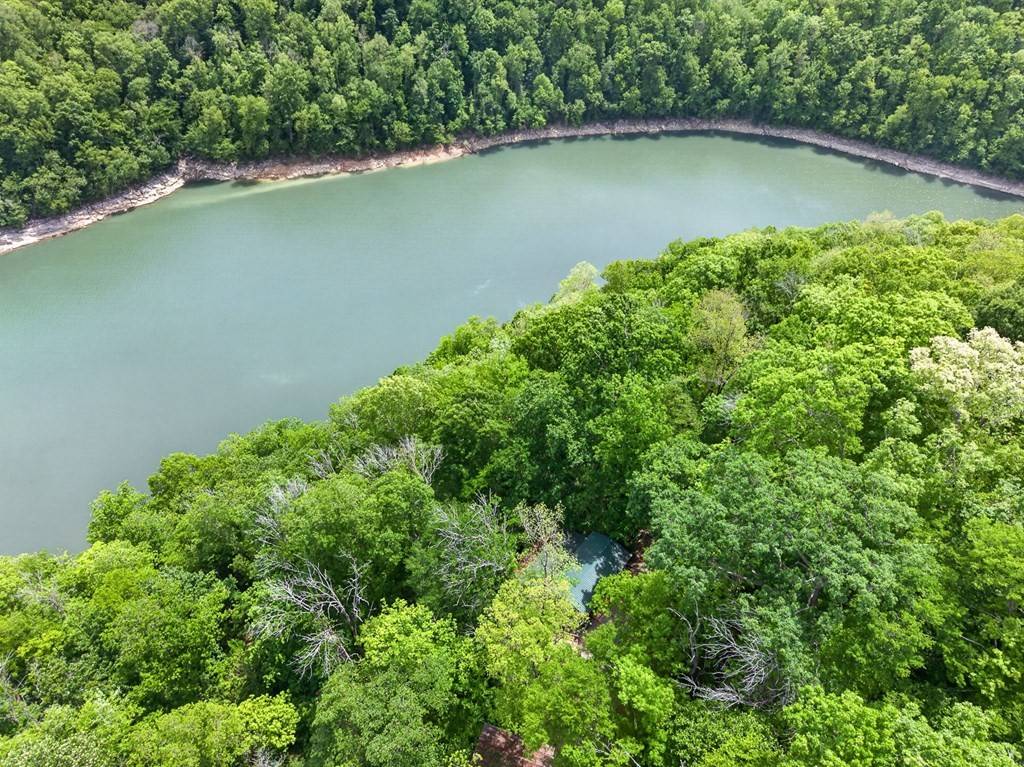 8045 Sarah Thomas Rd, Silver Point, TN 38582
