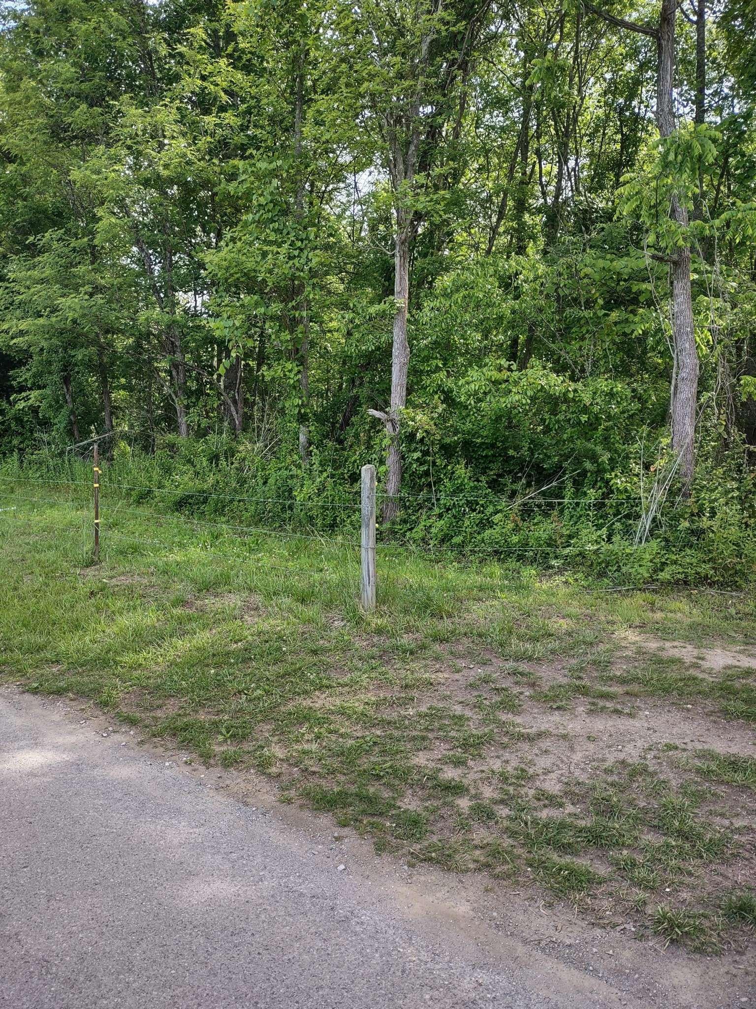 689 Stone Door Rd, Beersheba Springs, TN 37305