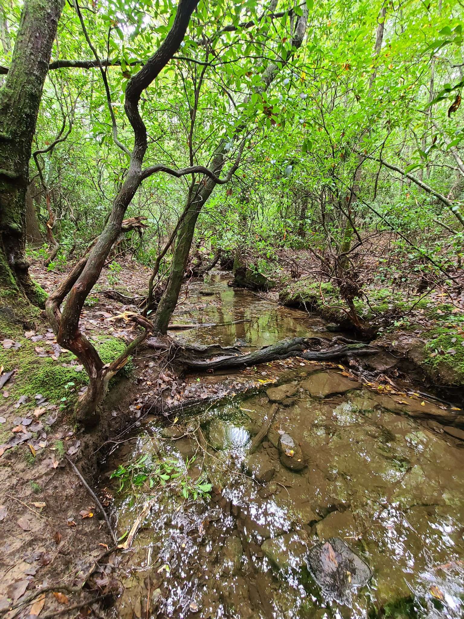 0 Whitetail Ridge Dr, Spencer, TN 38585