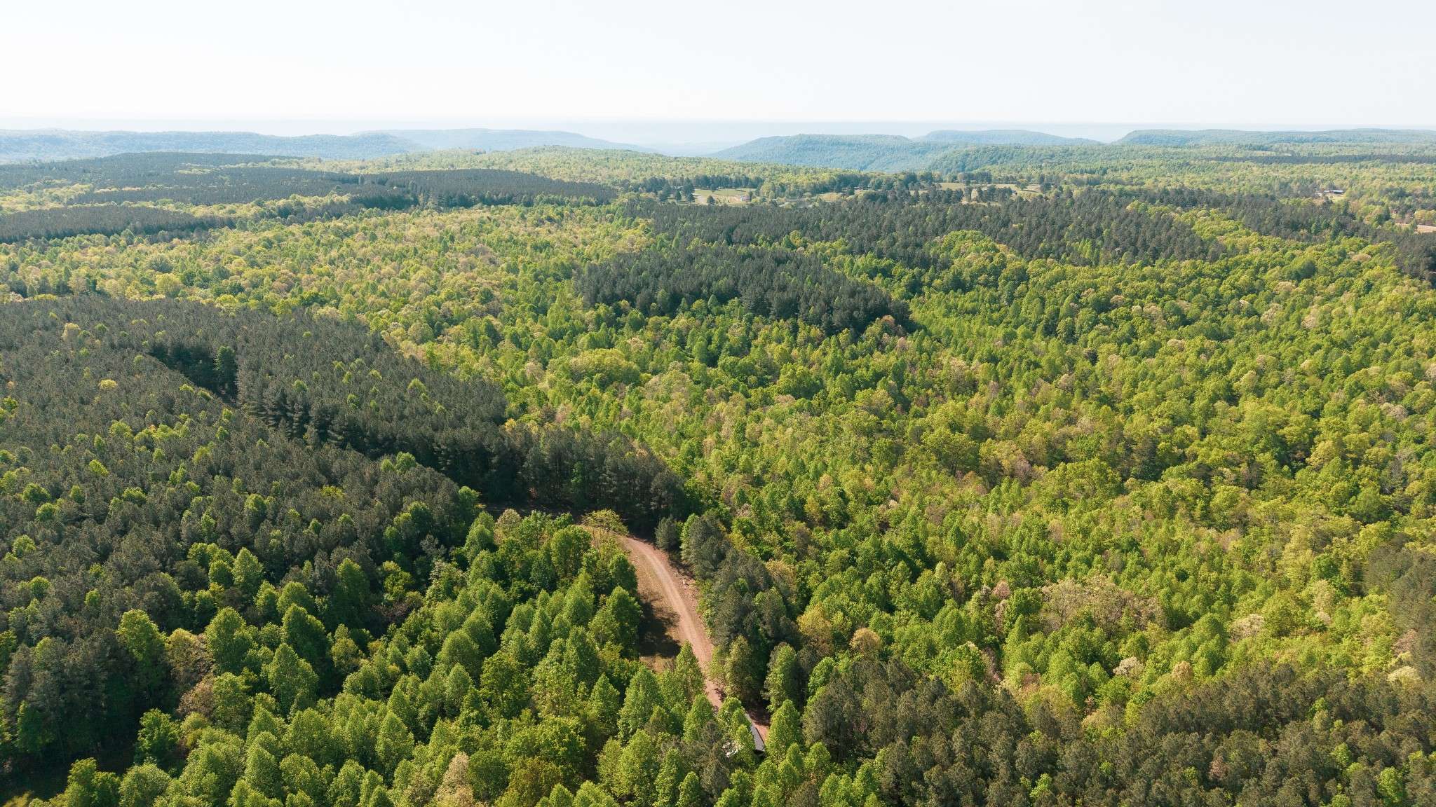 0 Browns Trace Road, South Pittsburg, TN 37380