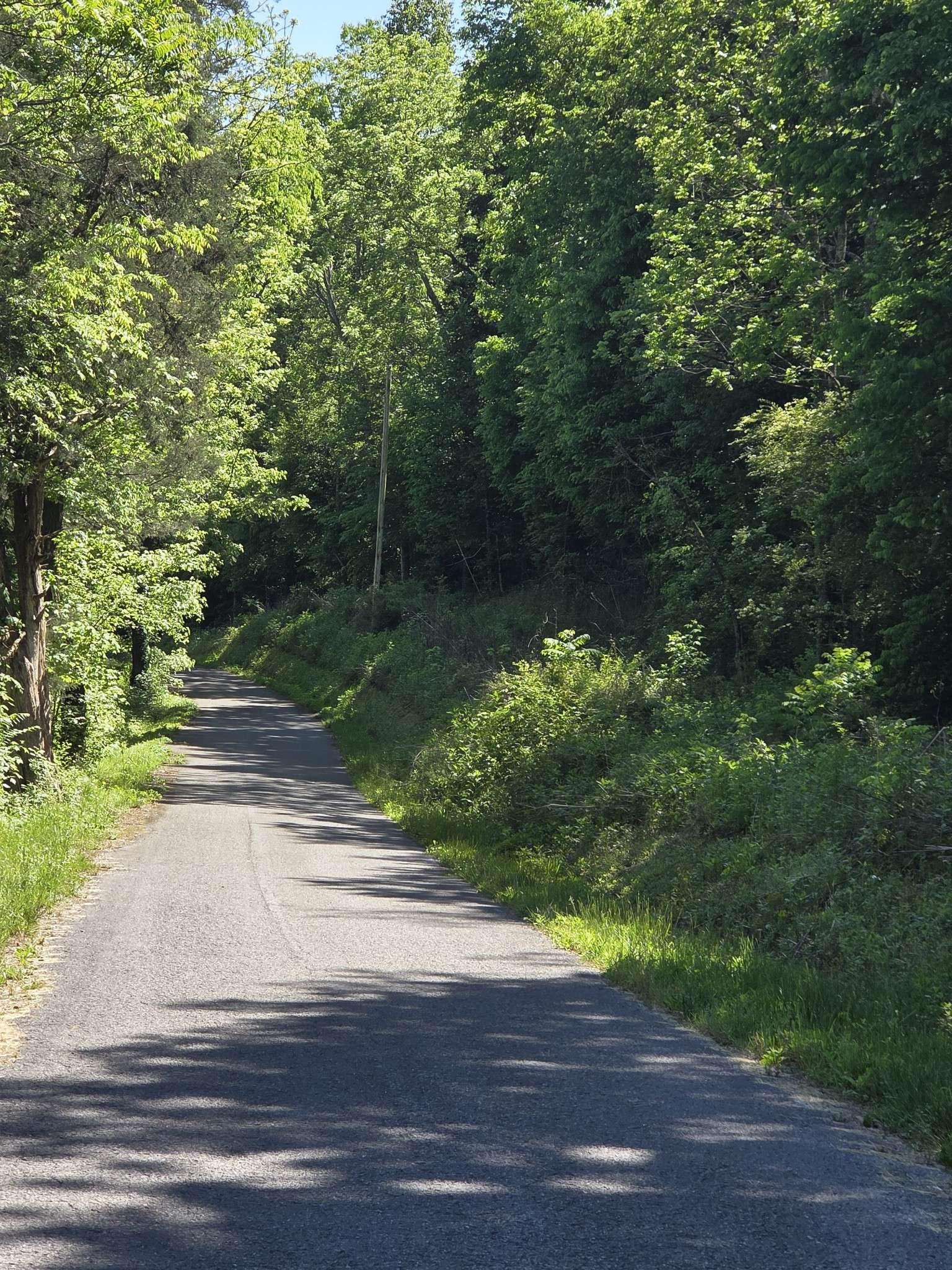806 Brandon Hollow, Lynchburg, TN 37352