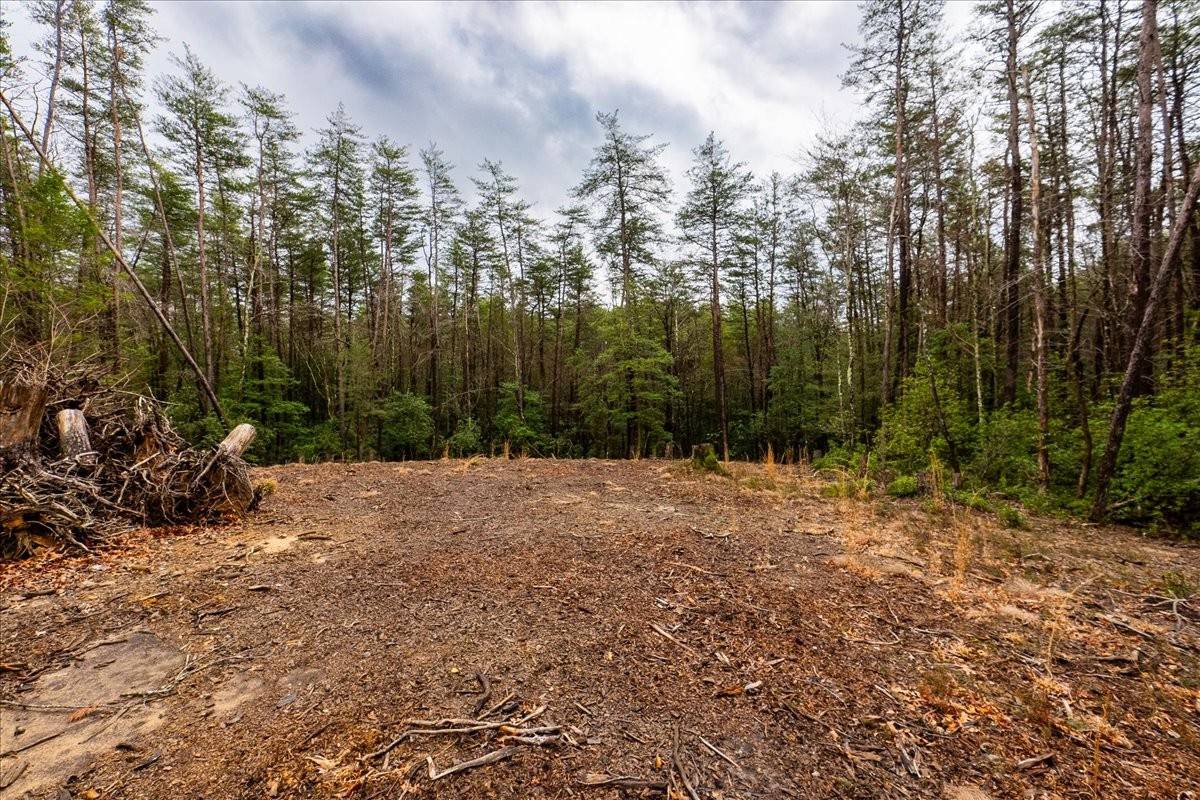 0 Timberwood Trce, Monteagle, TN 37356