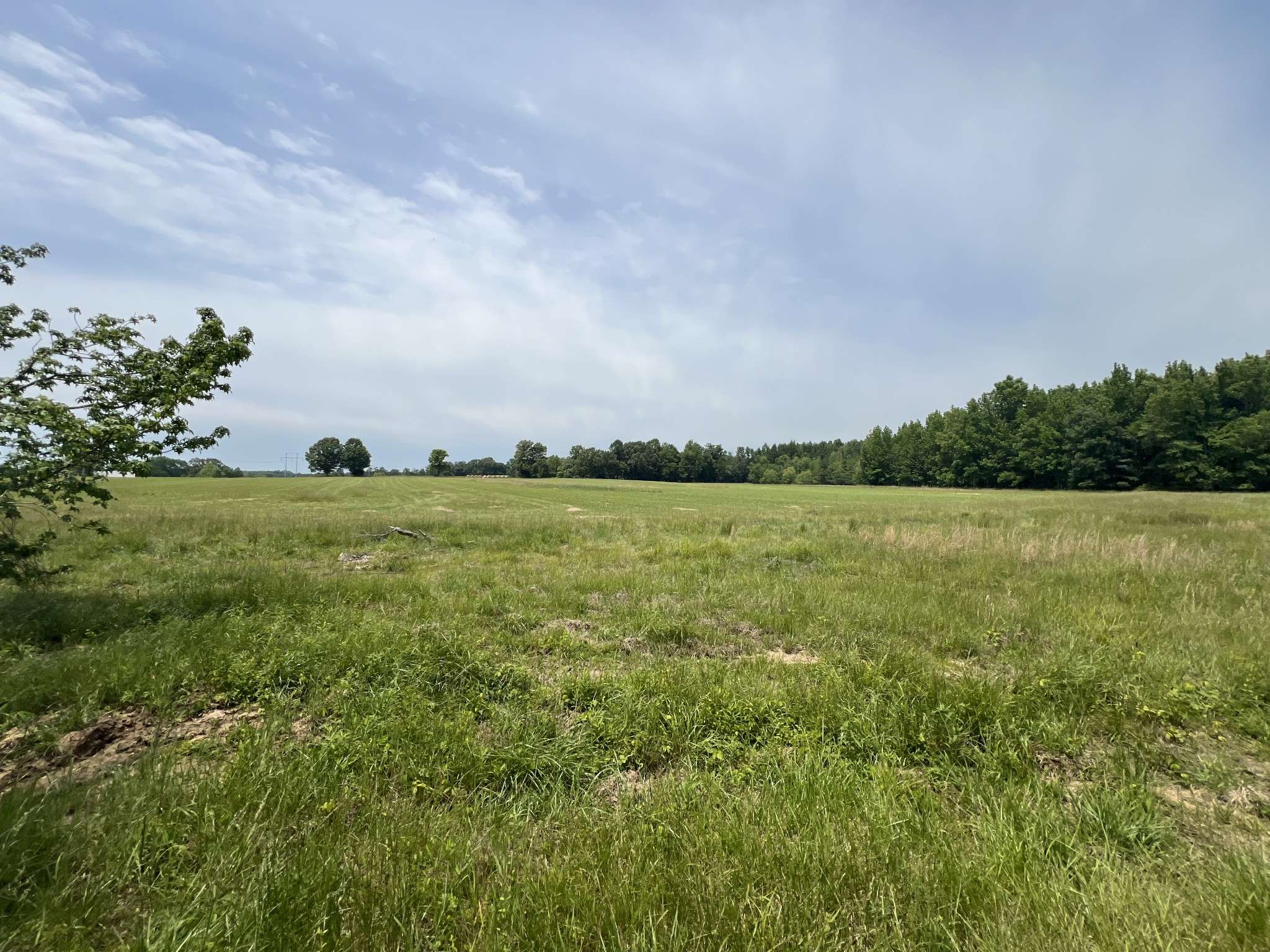 0 Indian Mound Rd, Indian Mound, TN 37079
