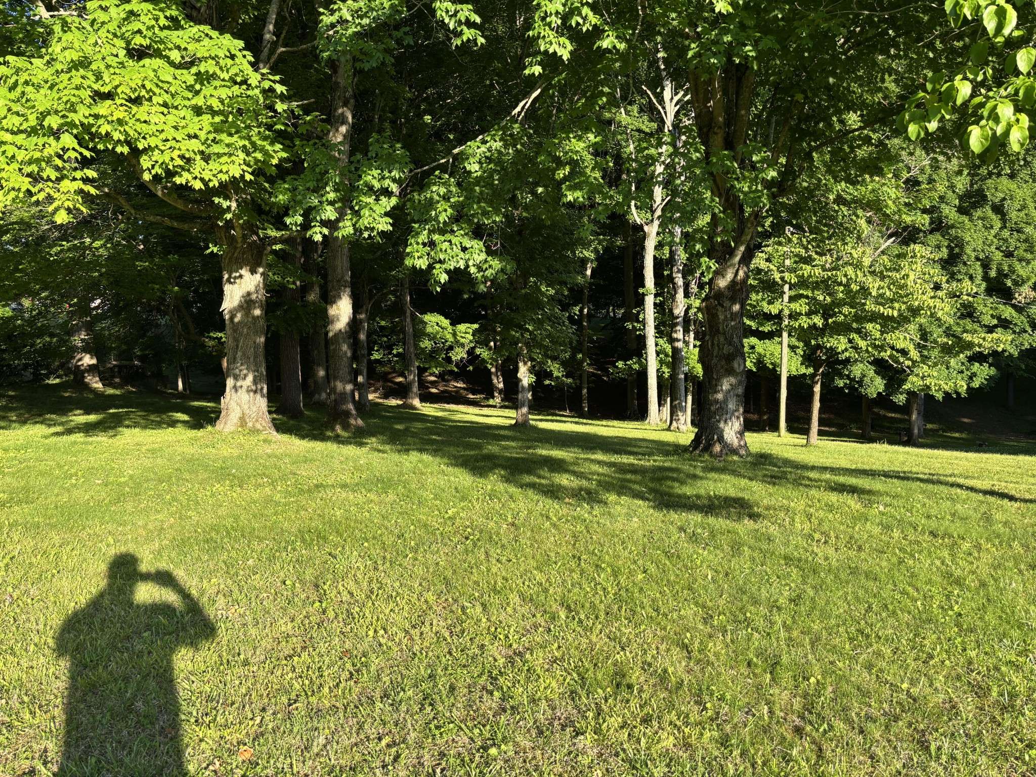 17 Edmondson Ferry Road, Clarksville, TN 37040