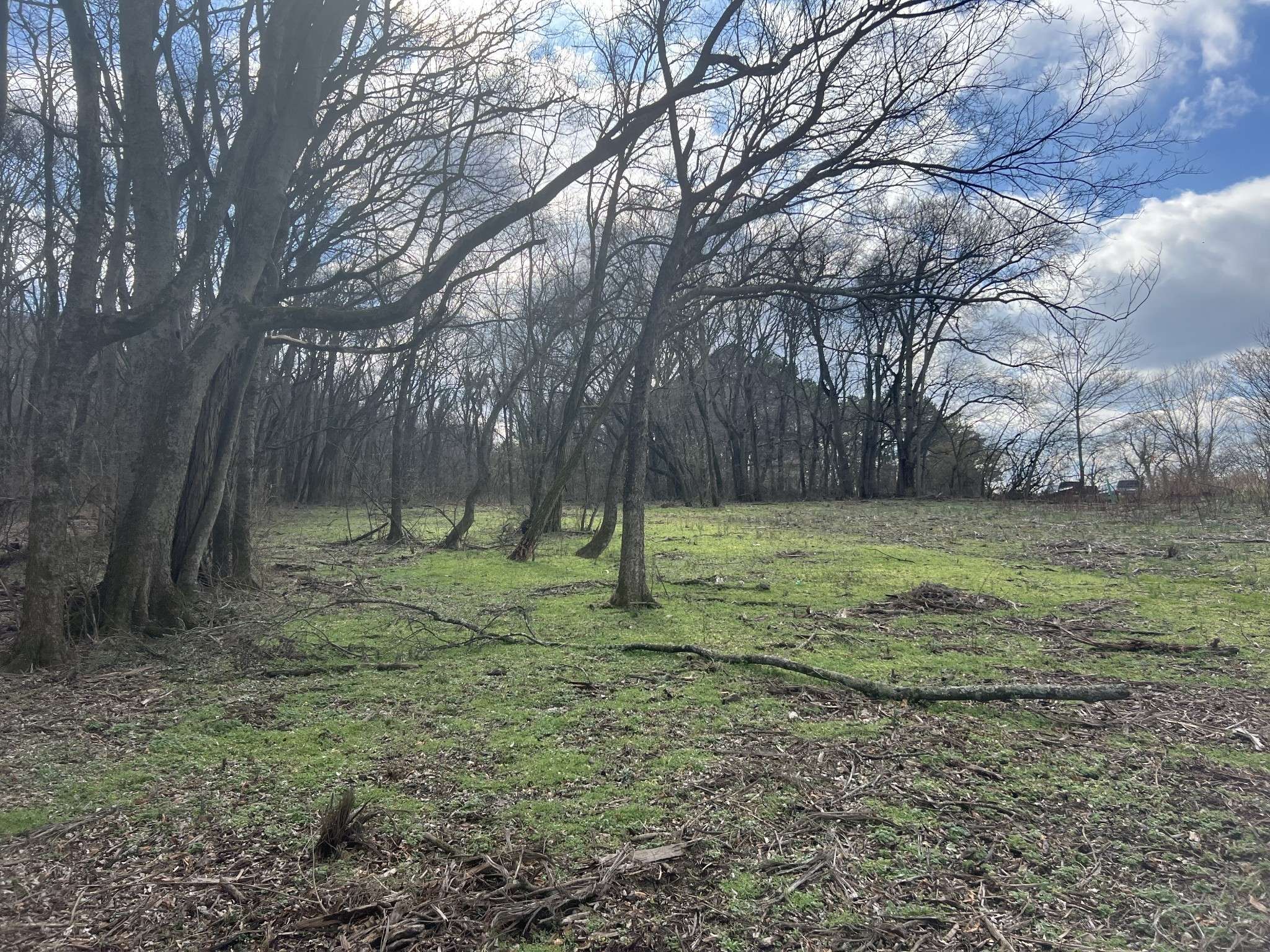 917 1st Ave, Mount Pleasant, TN 38474