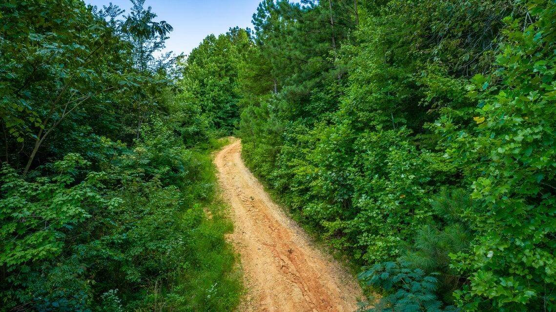 359 Co Rd 4, Calhoun, TN 37309