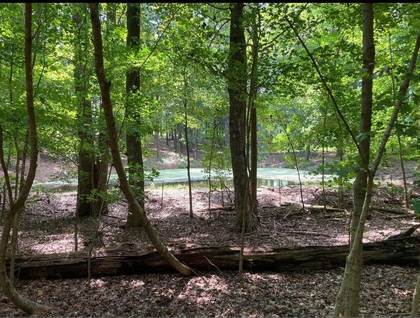 359 Co Rd 4, Calhoun, TN 37309