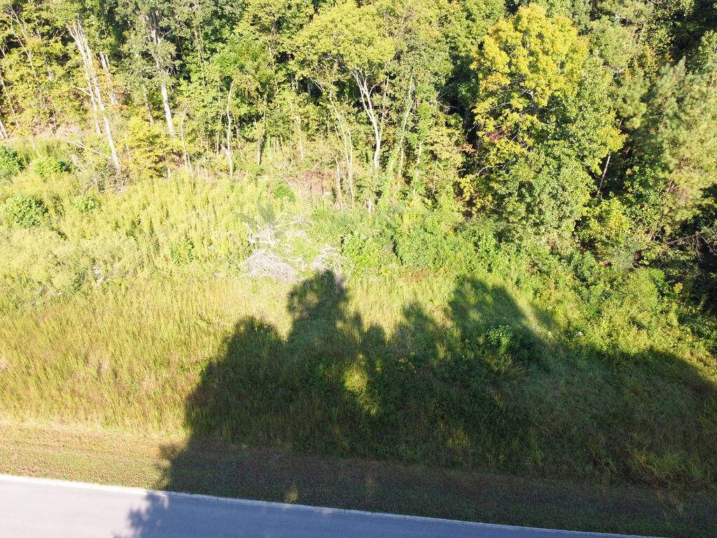 0 Shadows Lawn Drive, Athens, TN 37303