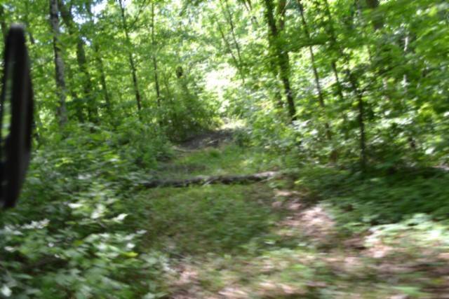 0 Beauchamp Rd, Burkesville, KY 42717
