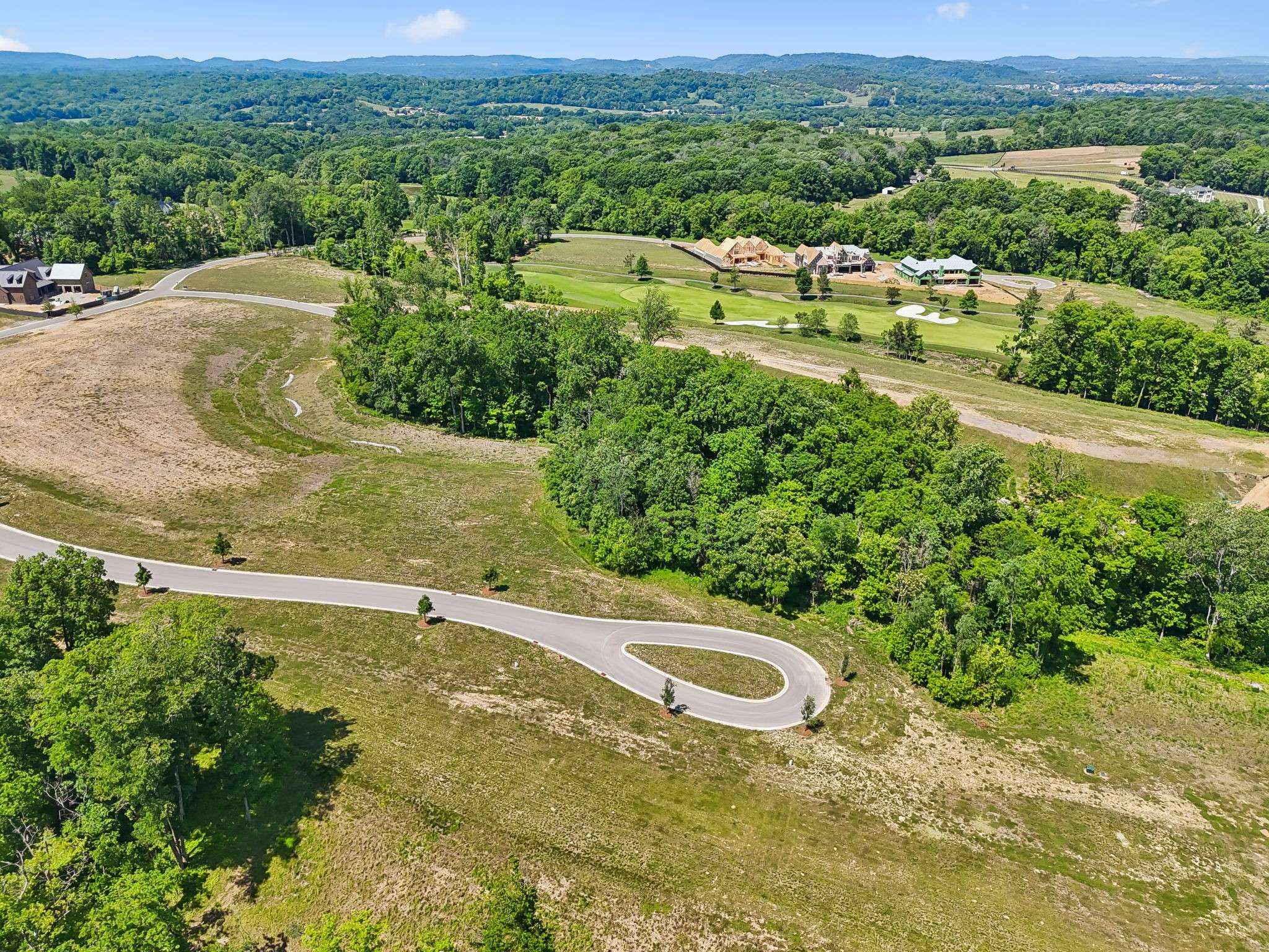 8386 Six String Drive, College Grove, TN 37046