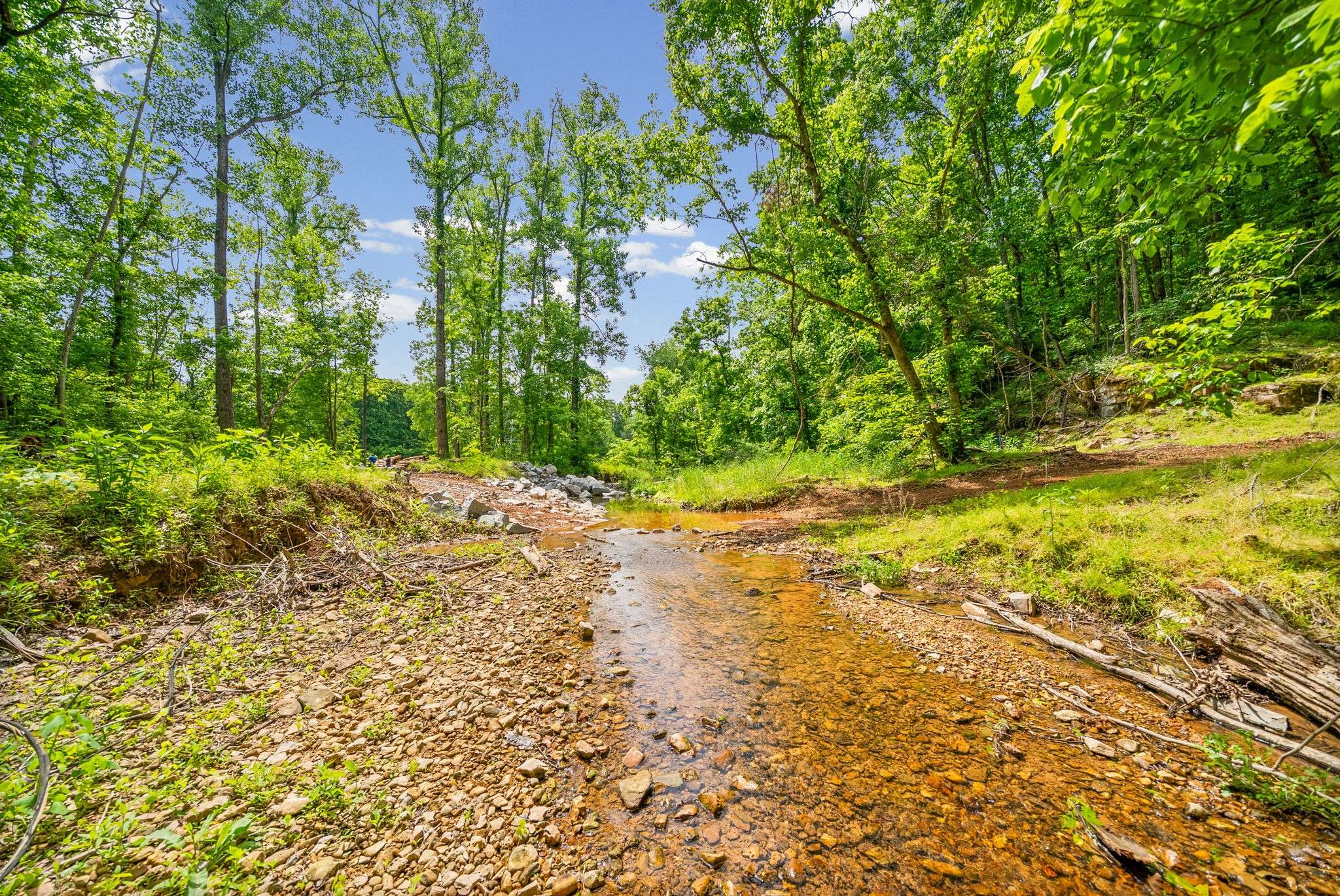 3 Budds Creek Road, Palmyra, TN 37142
