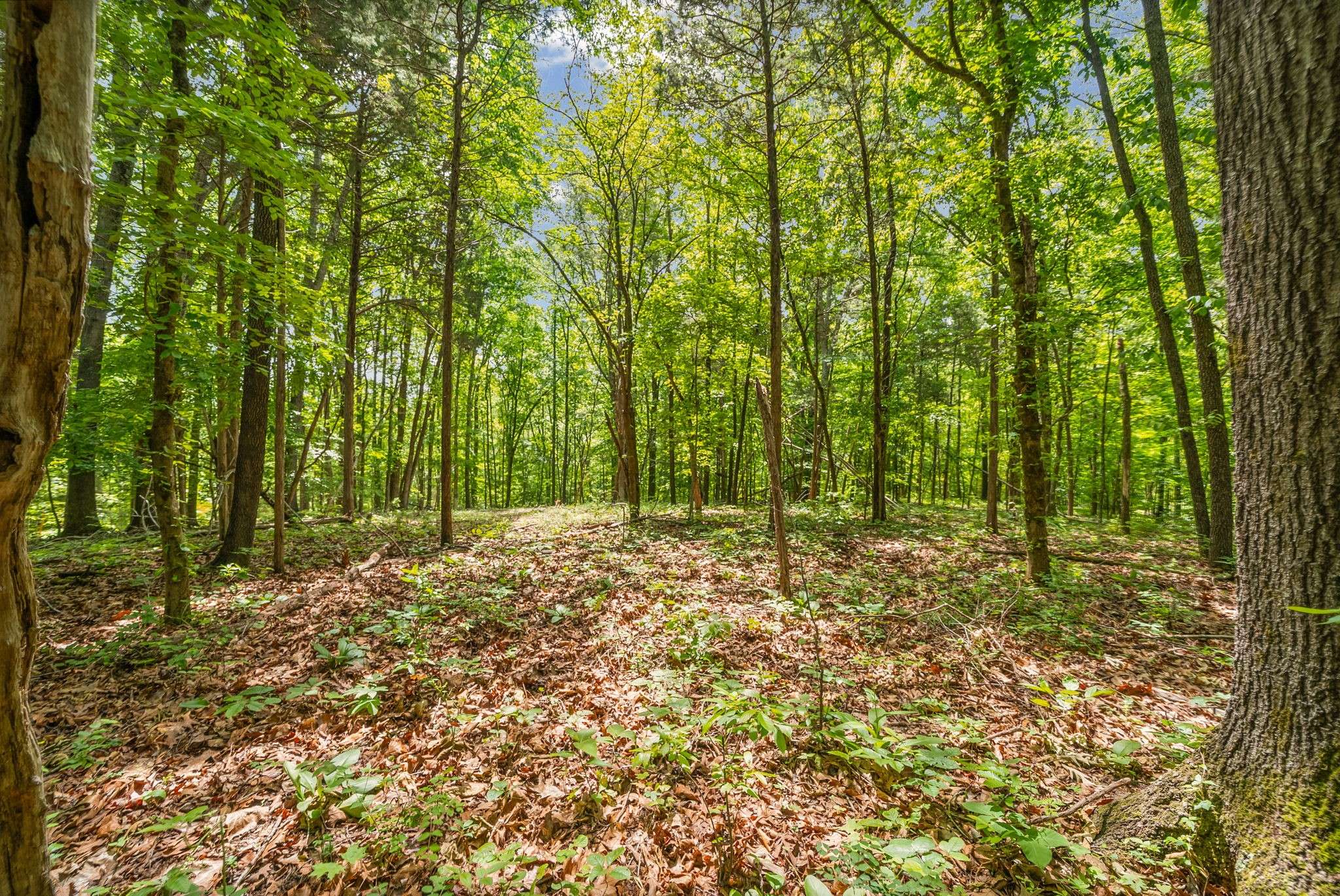 3 Budds Creek Road, Palmyra, TN 37142
