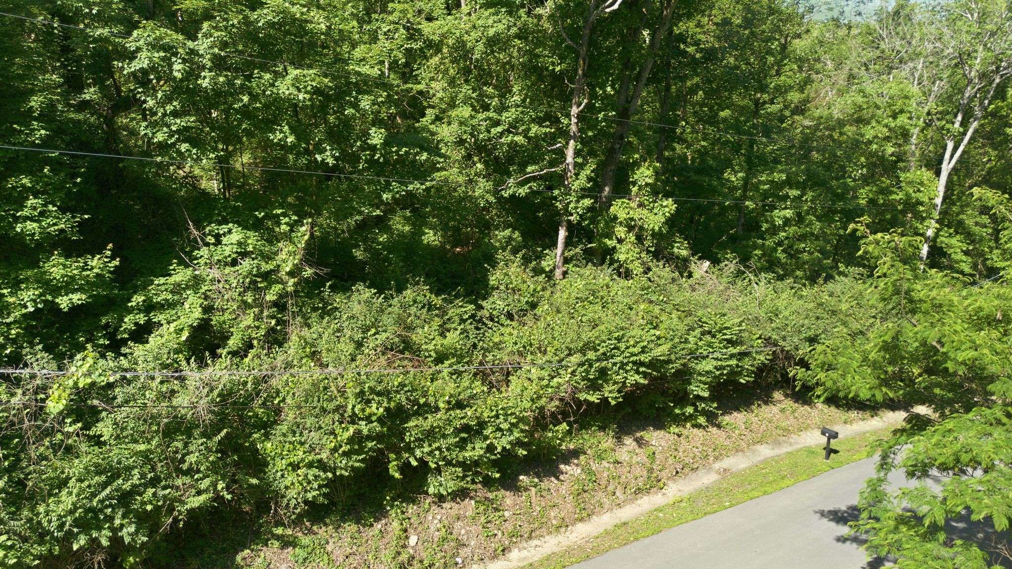3 Saint James Pl, Nashville, TN 37215