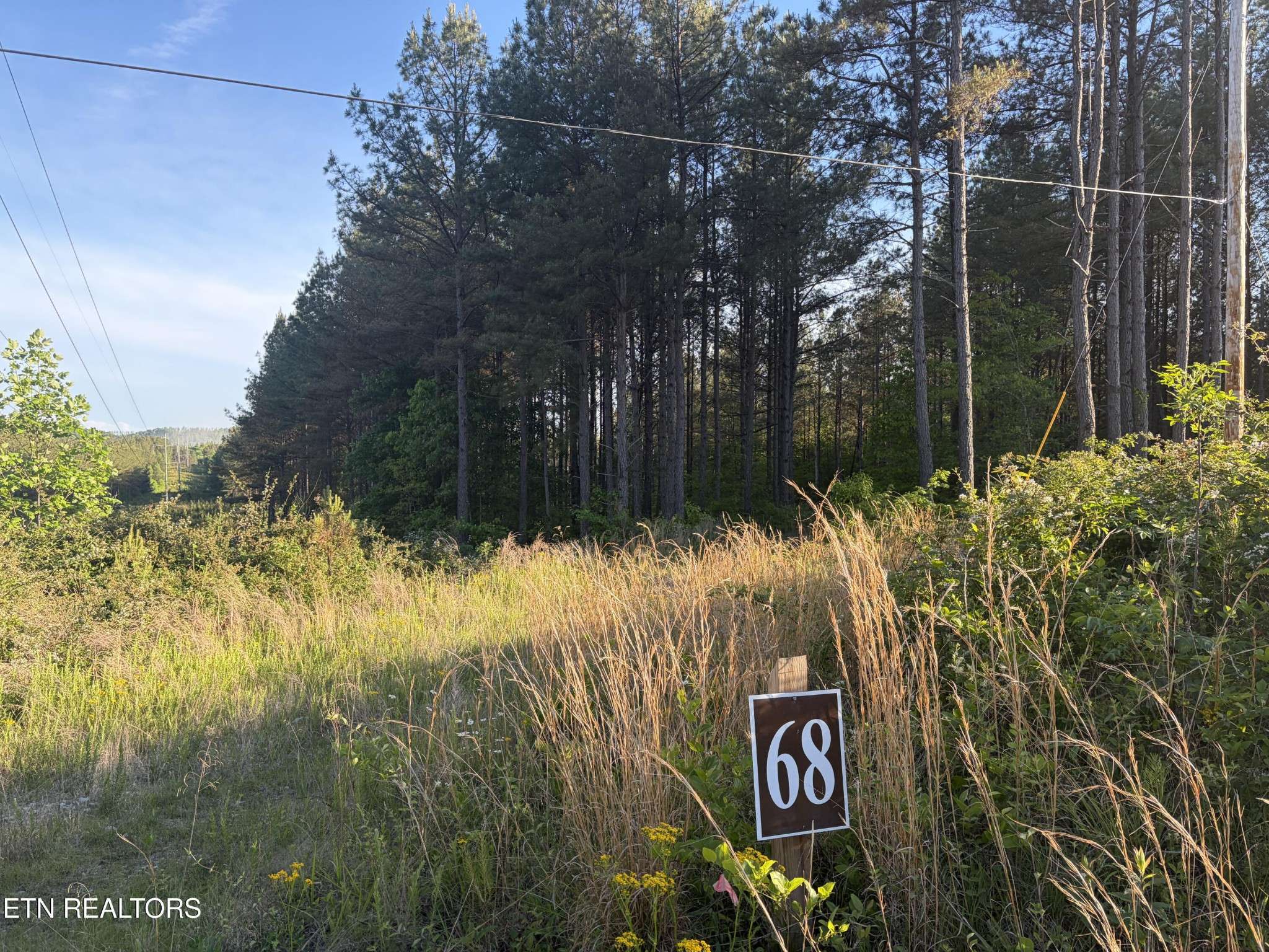 68 Black Bear Lane, Sunbright, TN 37872