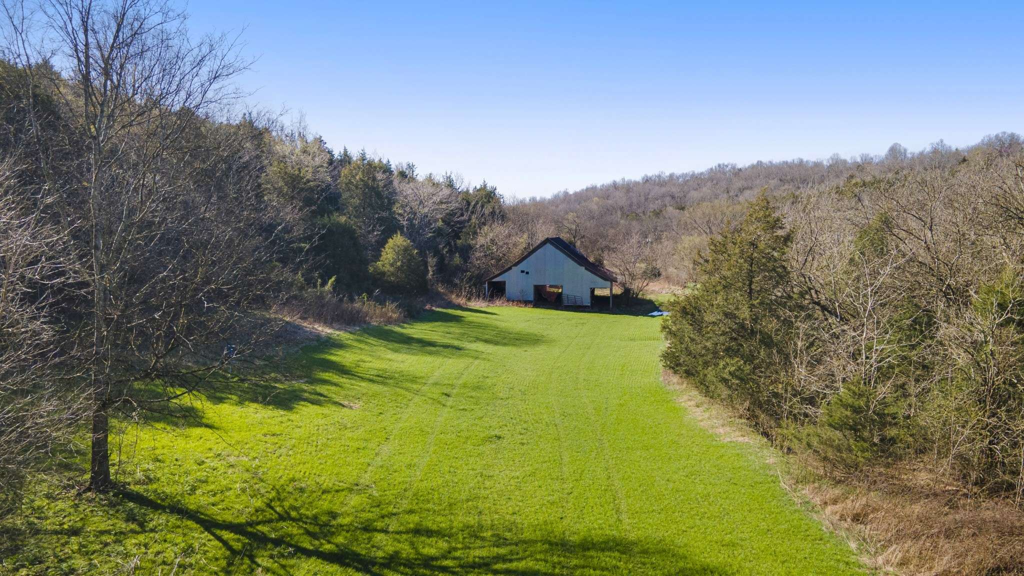 4250 Delina Rd, Cornersville, TN 37047