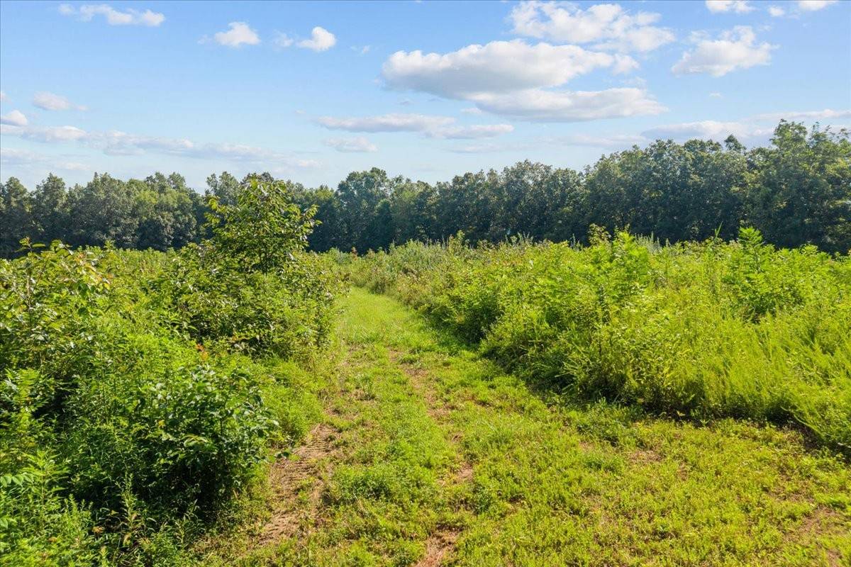 0 Kizer Ridge Road, Erin, TN 37061