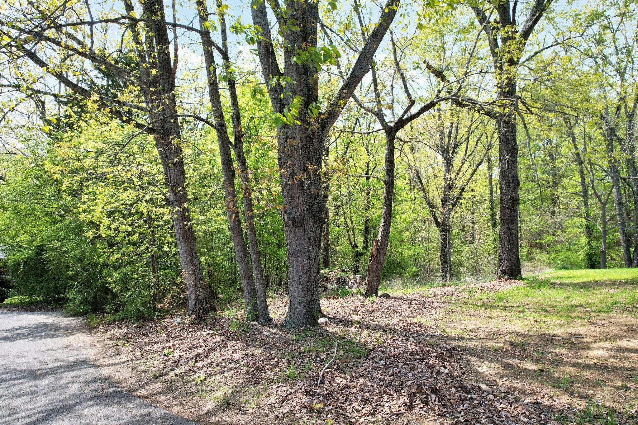 0 Crawford Drive #SE, Cleveland, TN 37323