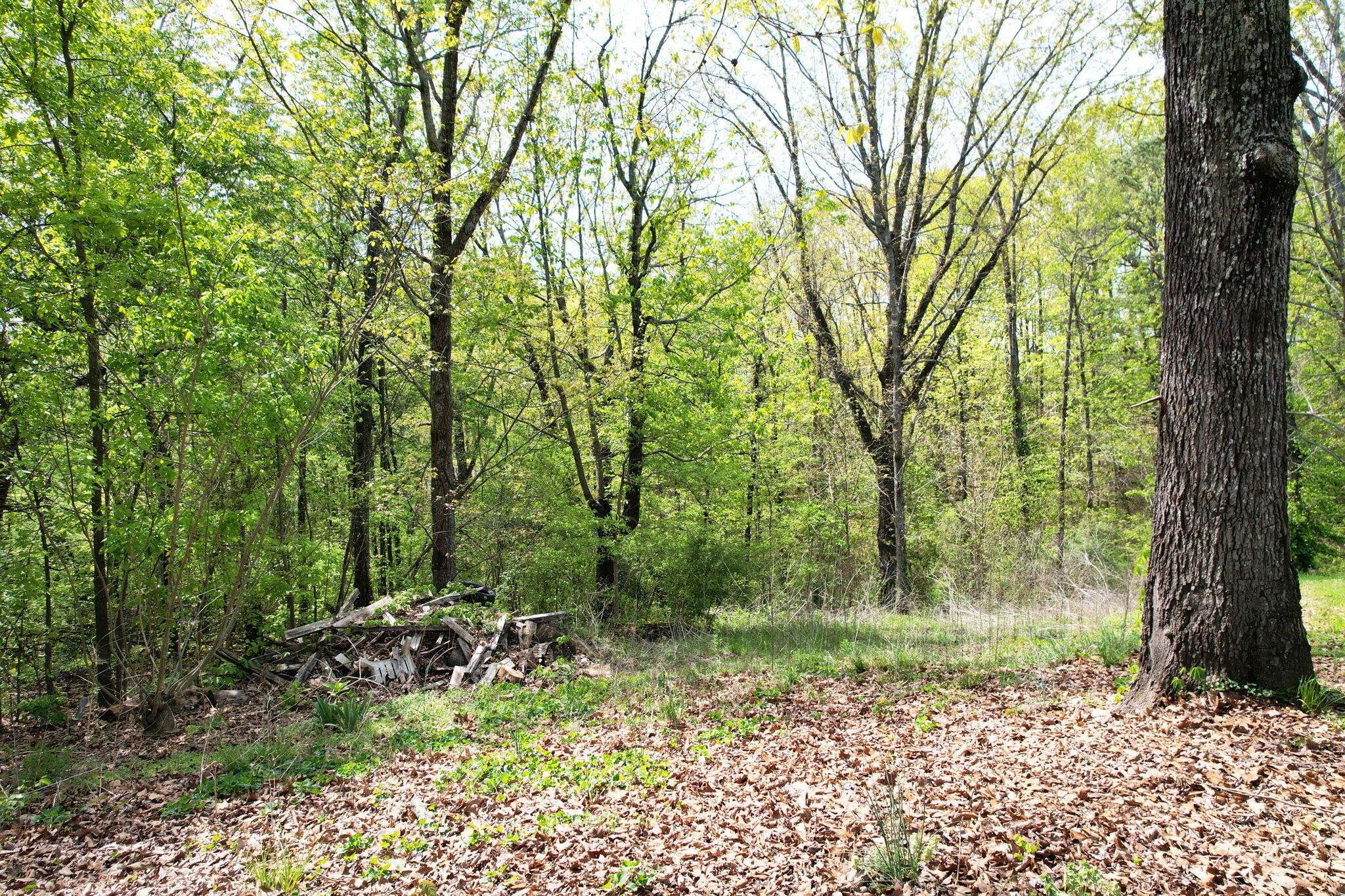 0 Crawford Drive #SE, Cleveland, TN 37323