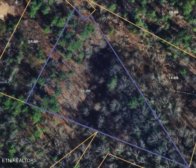 251 Mine Hollow Rd, Reliance, TN 37369